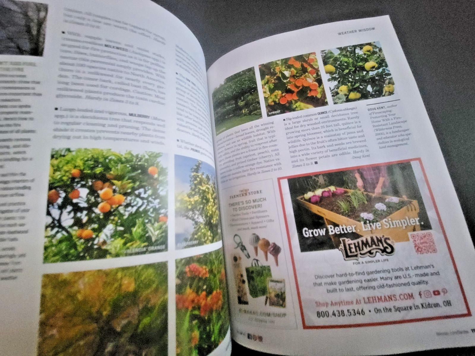 The Old Farmer’s Almanac Garden Guide 2026 – All Information Needed For Success
