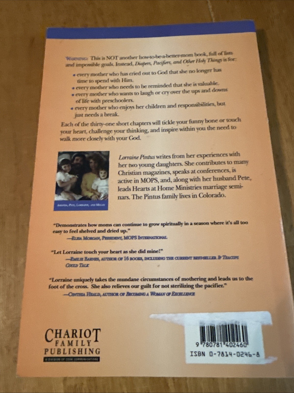 Diapers, Pacifiers, and Other Holy Things : Words of Encouragement for…