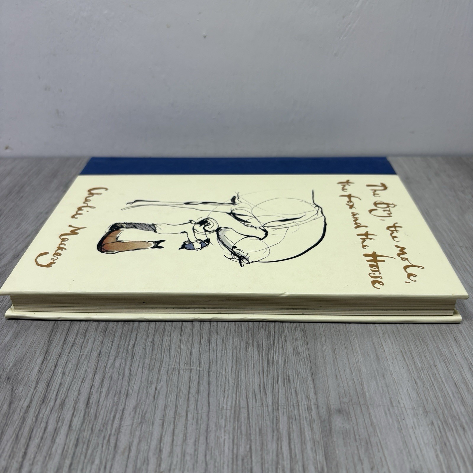 The Boy, the Mole, the Fox, and the Horse – Hardcover By Mackesy, Charlie