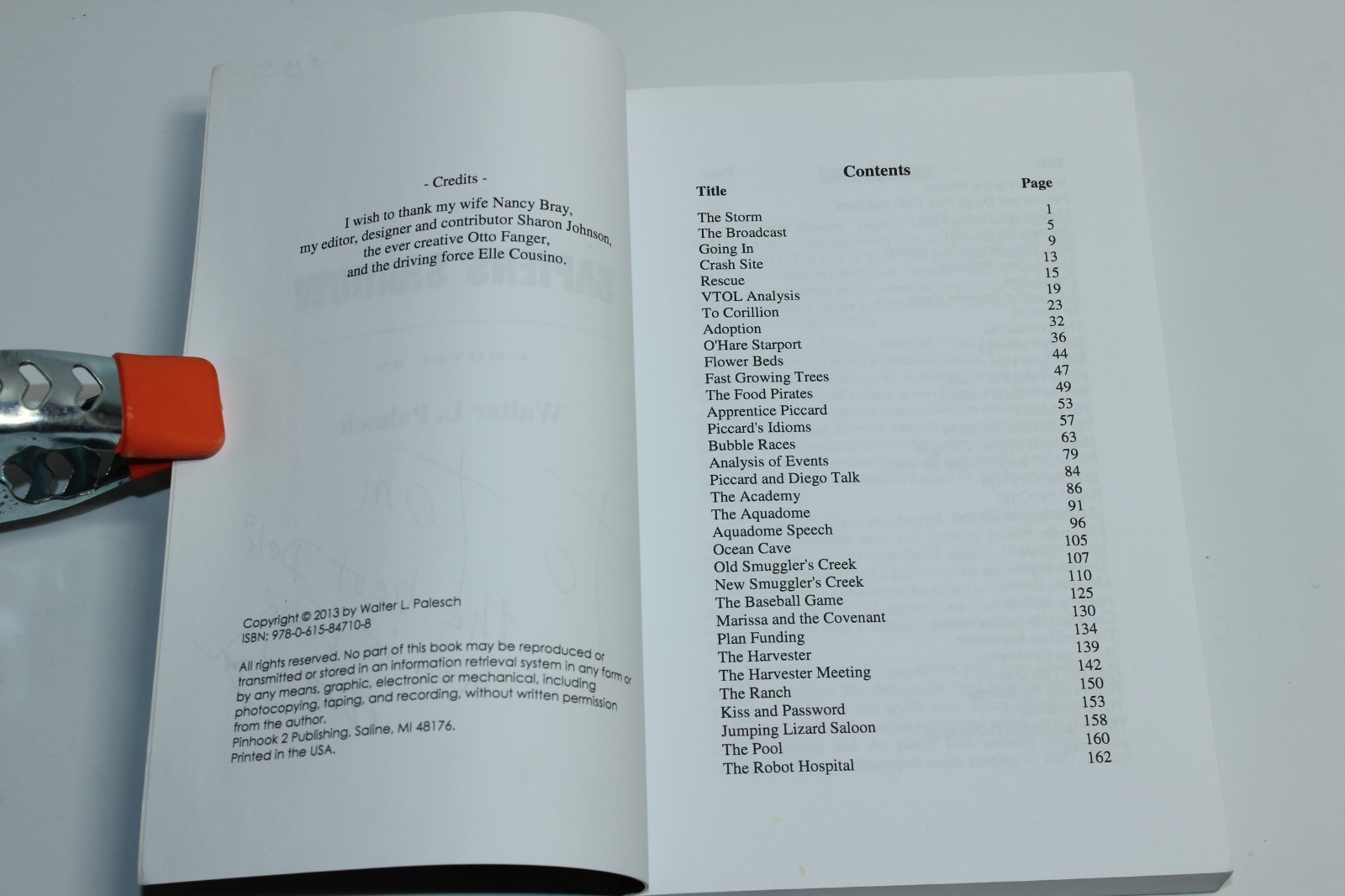 Sapiens‘ Shadow by Walter Palesch (2013) SIGNED