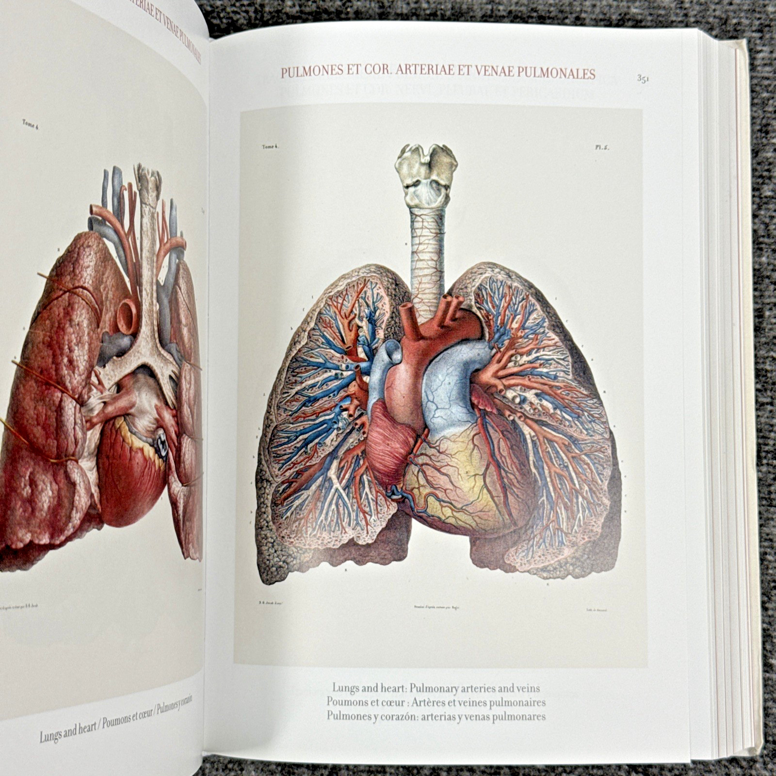 Atlas of Human Anatomy and Surgery The Complete Plates, Bourgery, Jacob, Taschen