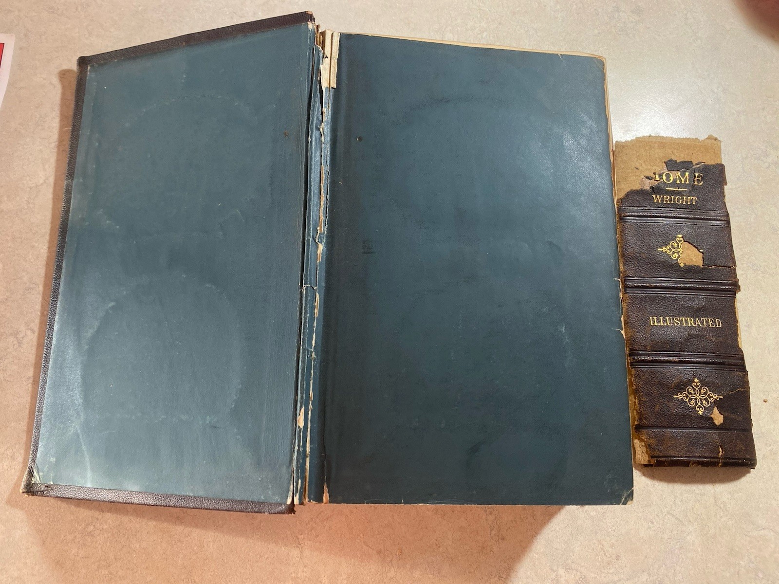 THE COMPLETE HOME JULIA MCNAIR WRIGHT 1882 ENCYCLOPAEDIA OF DOMESTIC LIFE GILT