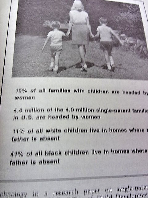 The Women’s Movement Editorial Research Reports 1977 Softcover 168 Pages VGC