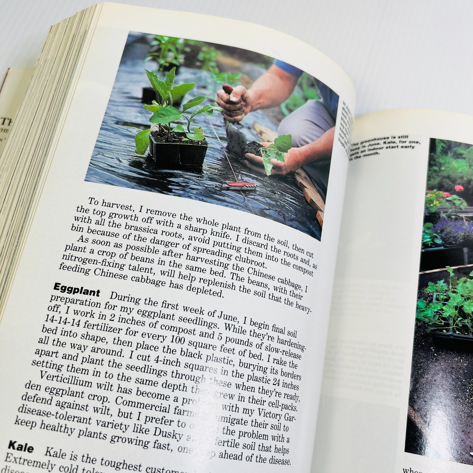 The Victory Garden: The Essential Companion : Three …
