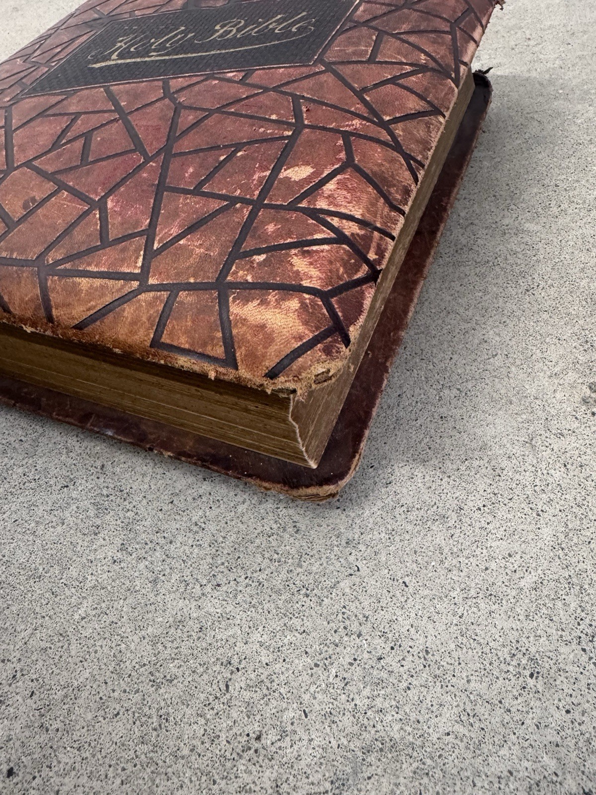 1800s Vintage Book Holy Bible Altemus Antique Leather Original