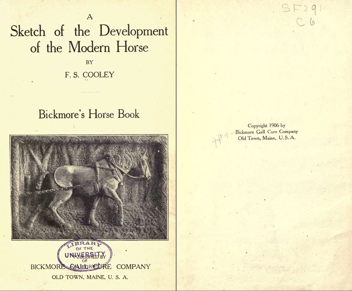 329 BOOKS – Horses – Equestrian Stallion Mare Gallop Bridle Hoof Jockey – CD/DVD