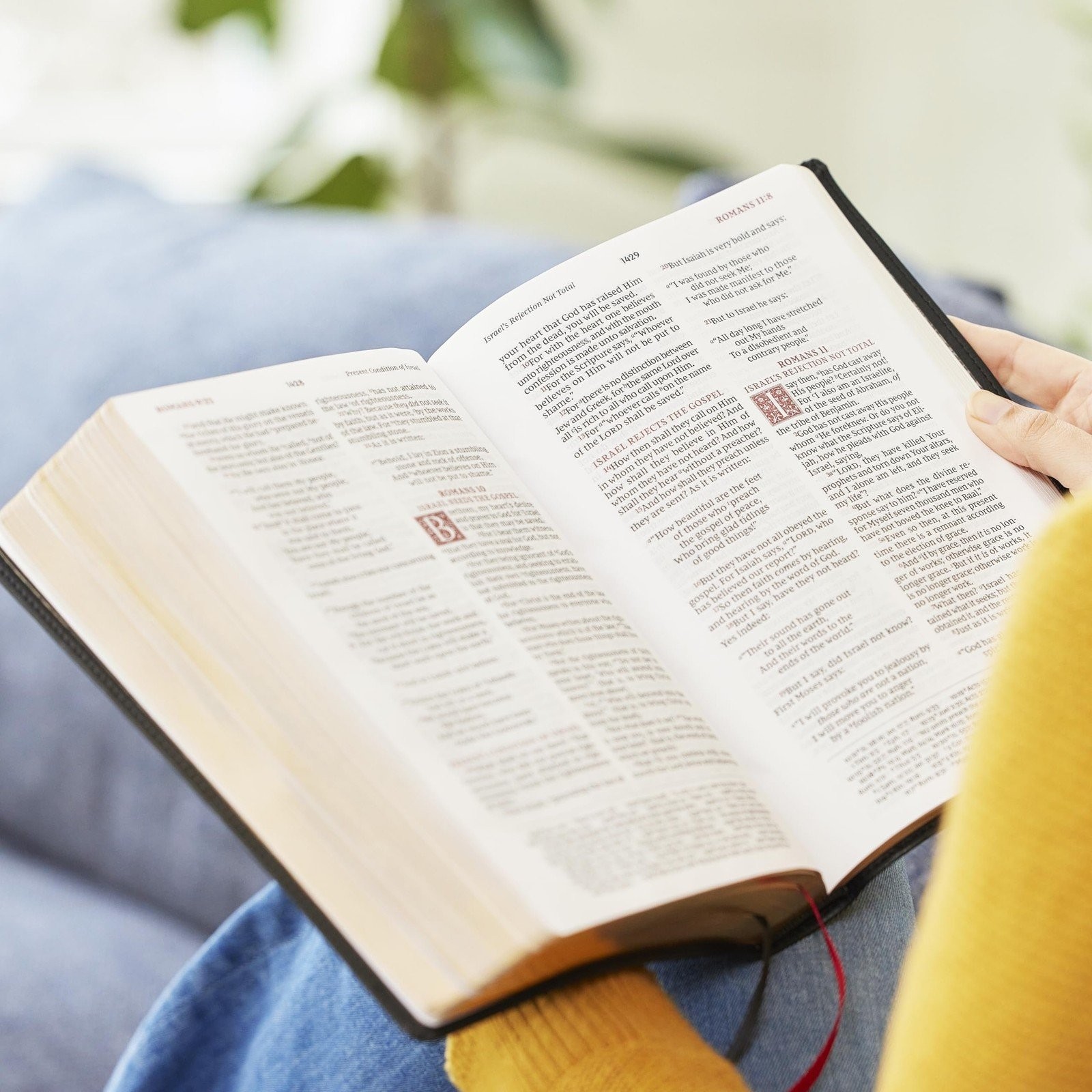 NKJV Large Print Reference Bible, Purple Leathersoft, Red Letter, Comfort…