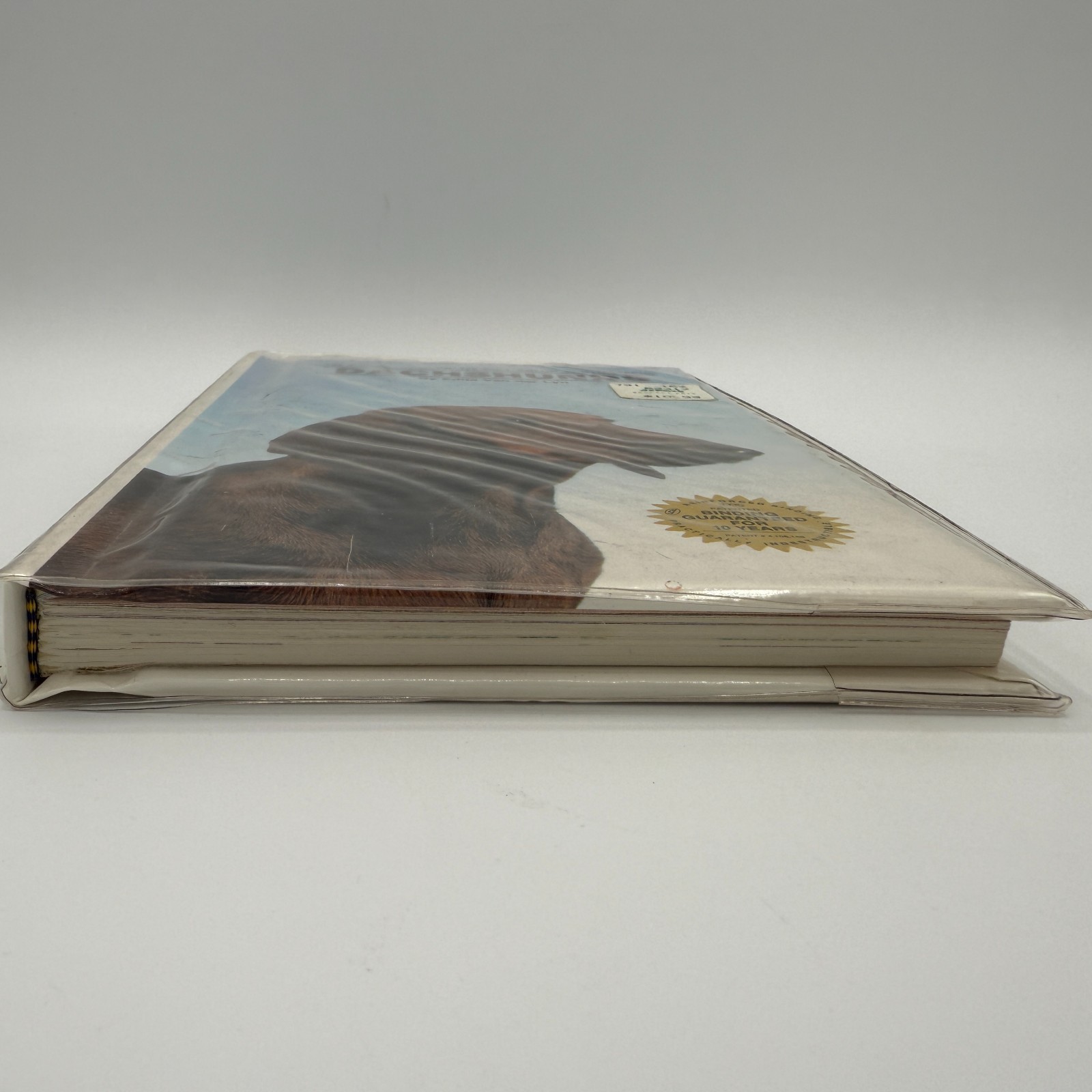Dachshunds By Edita Van Der Lyn Hardcover 192 Pages 175 Photos TFH 1986