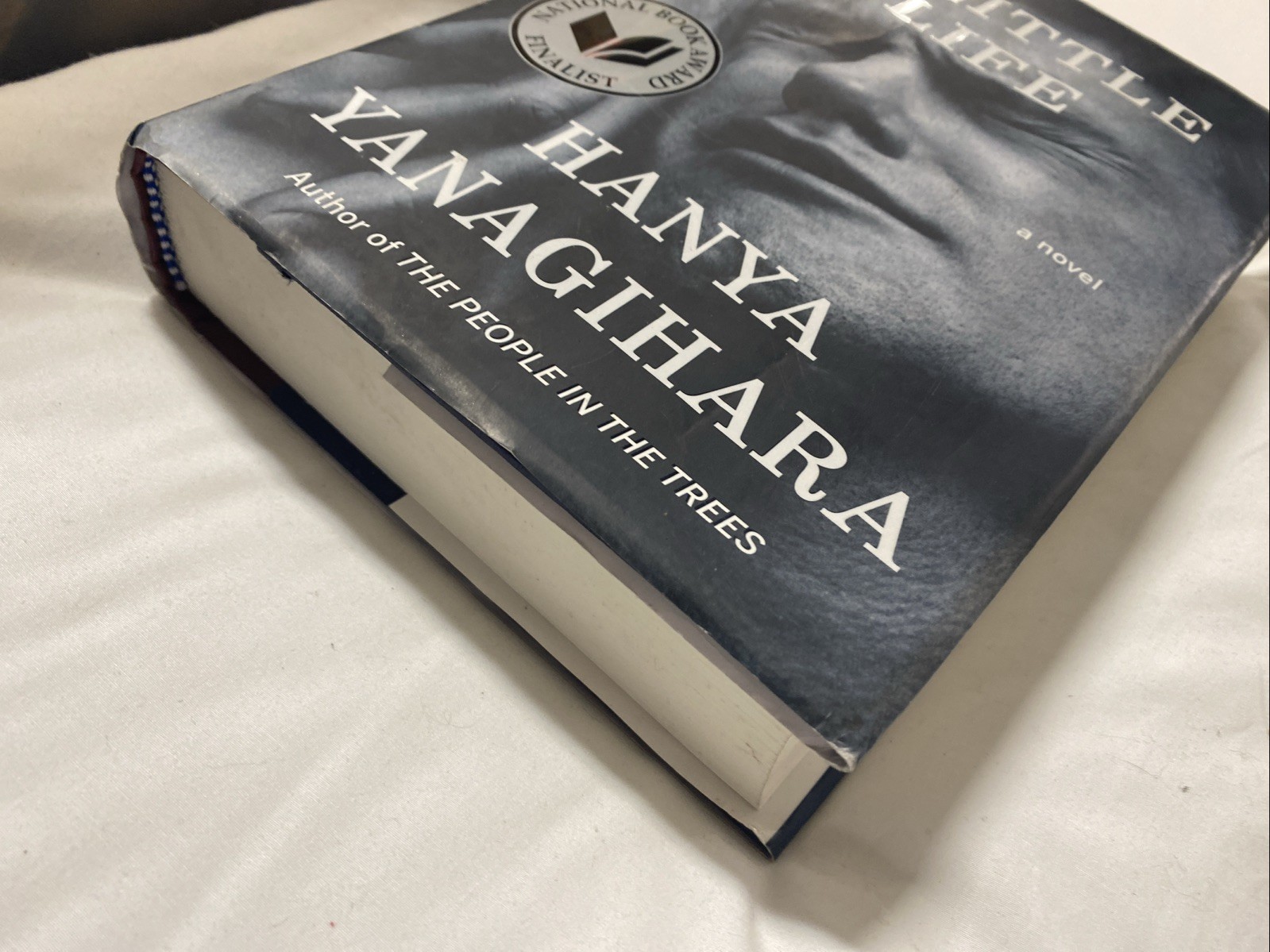 A Little Life: A Novel – Hardcover By Yanagihara, Hanya – GOOD