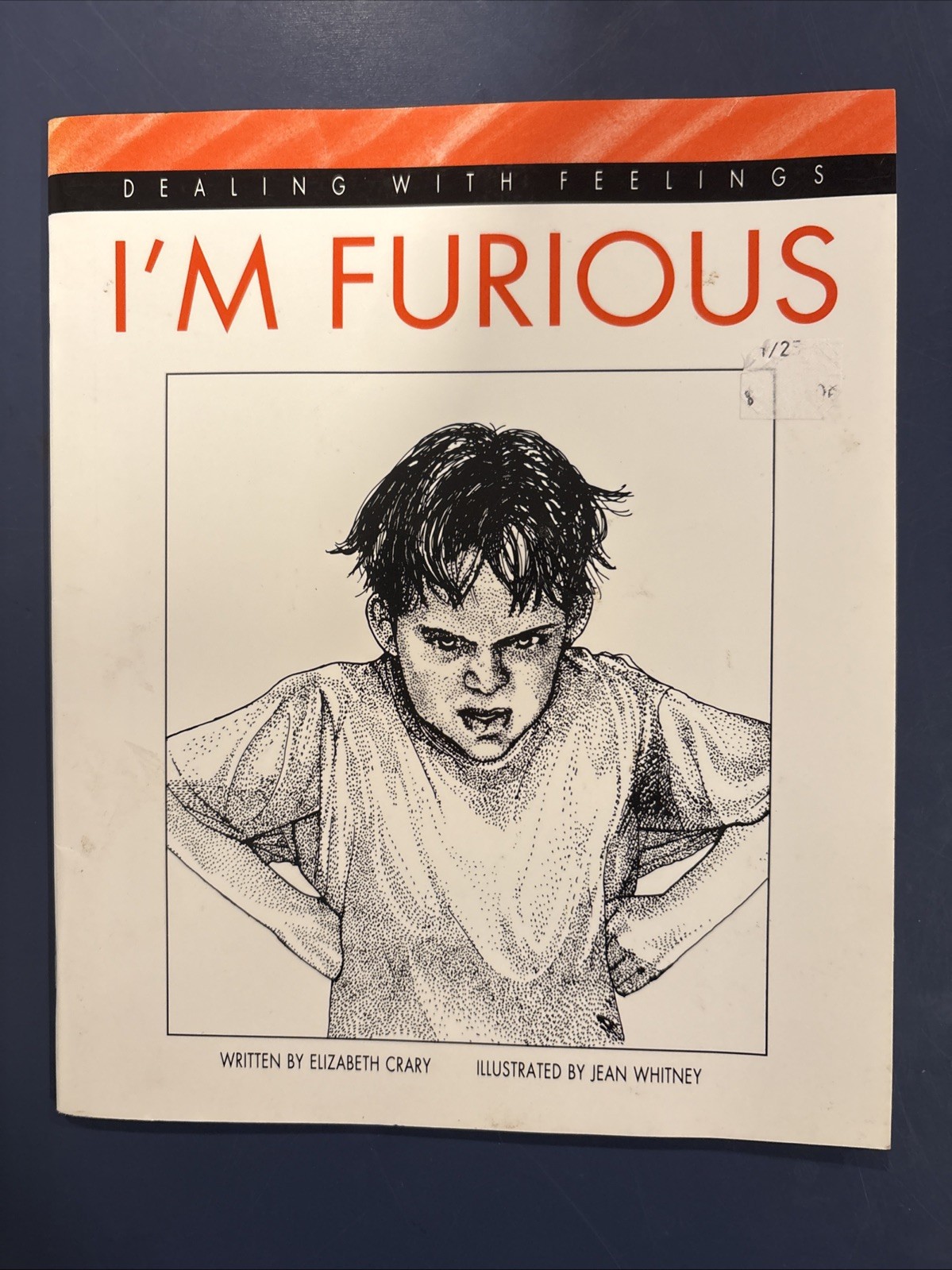 I’m Furious (Dealing with Feelings) by Crary