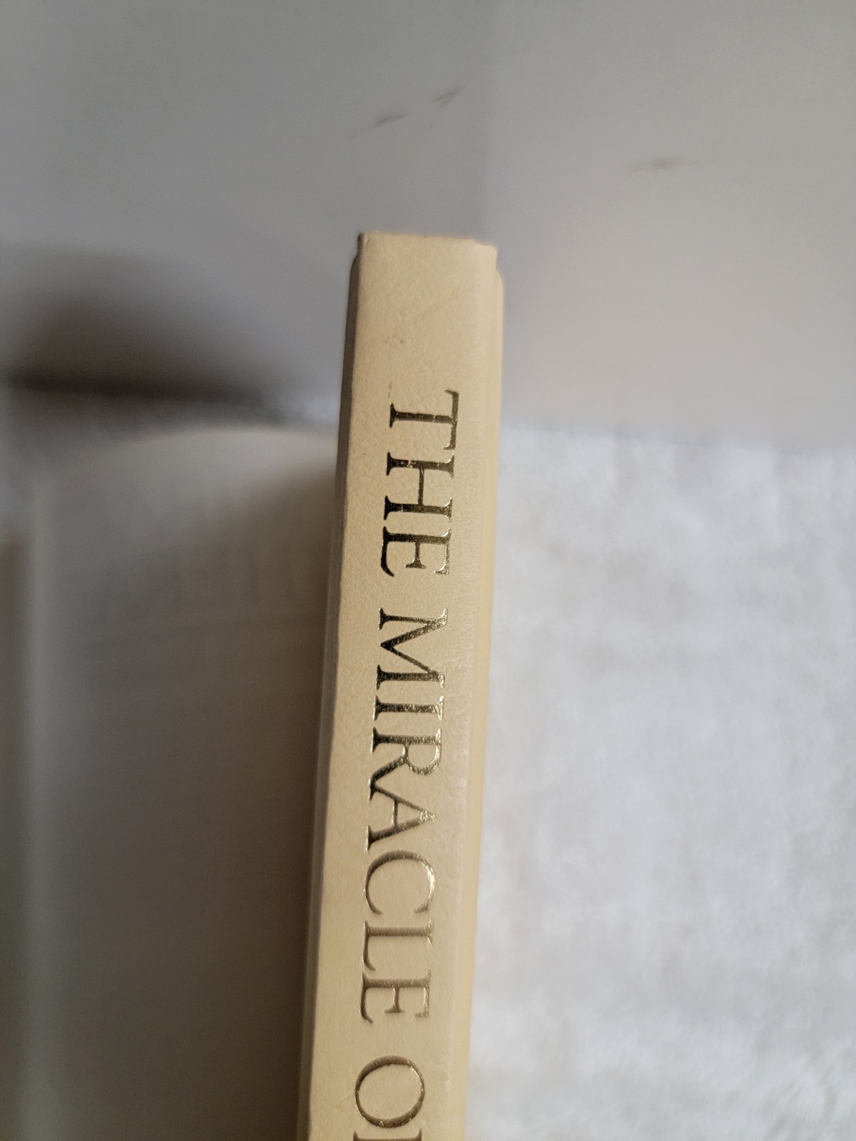 THE MIRACLE OF THERAPY: A LAYPERSON’S GUIDE TO THE By Georgiana G. Rodiger *VG+*