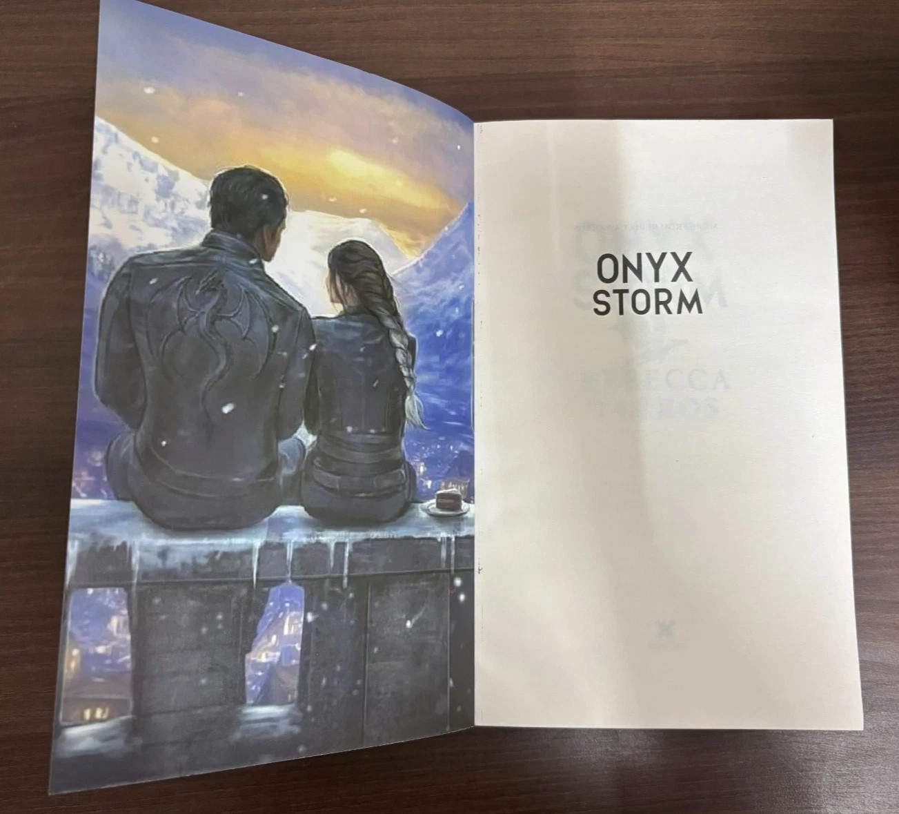 PERFECT BOOK GIFT FOR CHRISTMAS_ „Onyx Storm“
