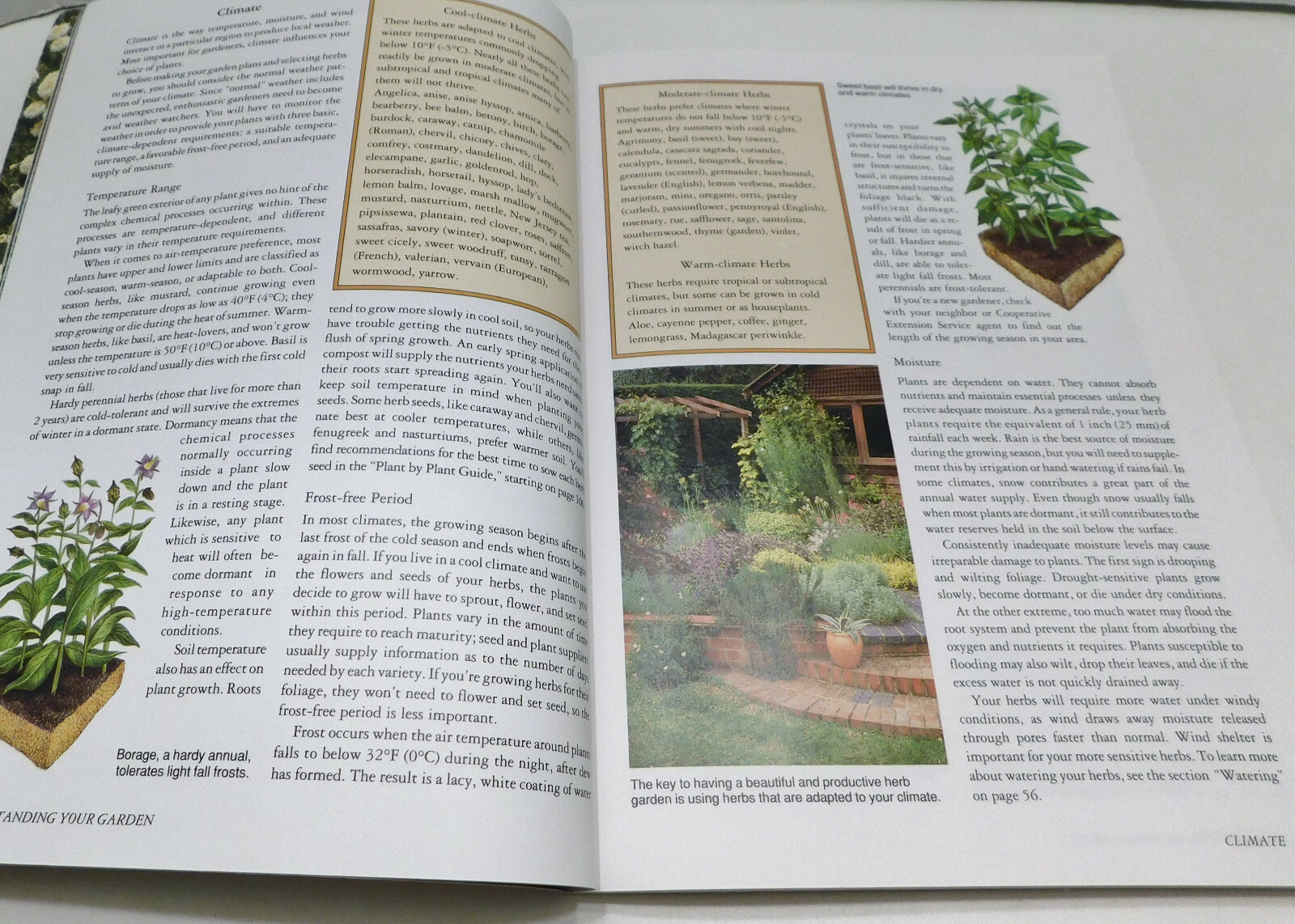 Rodale’s Successful Organic Gardening: Herbs 300 color photos 50 illustratration