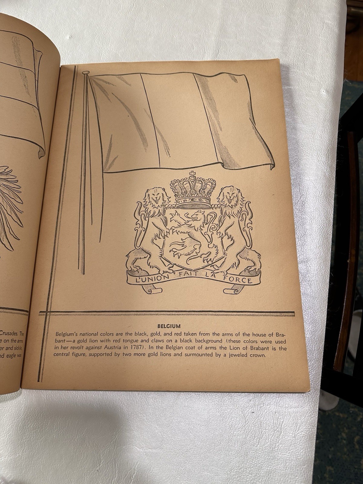 Vintage National Flags Coloring Book 48 Pages