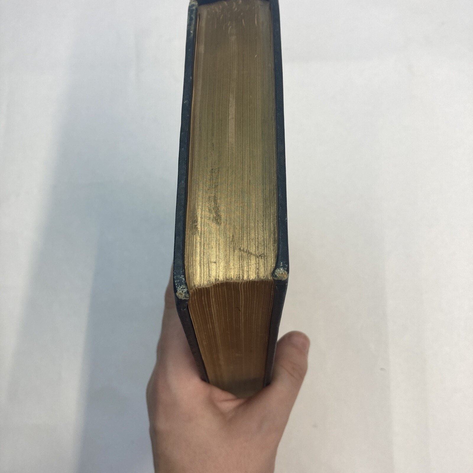 Rise of Poetry in America National Sentiment Emerson Poe Poets of America 1899