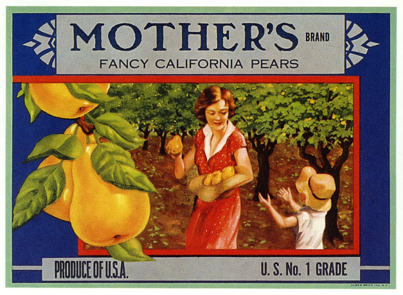 CHILDREN’S ABC ALPHABETICAL BOOK with HISTORICAL FRUIT CRATE LABEL IMAGES (NEW)