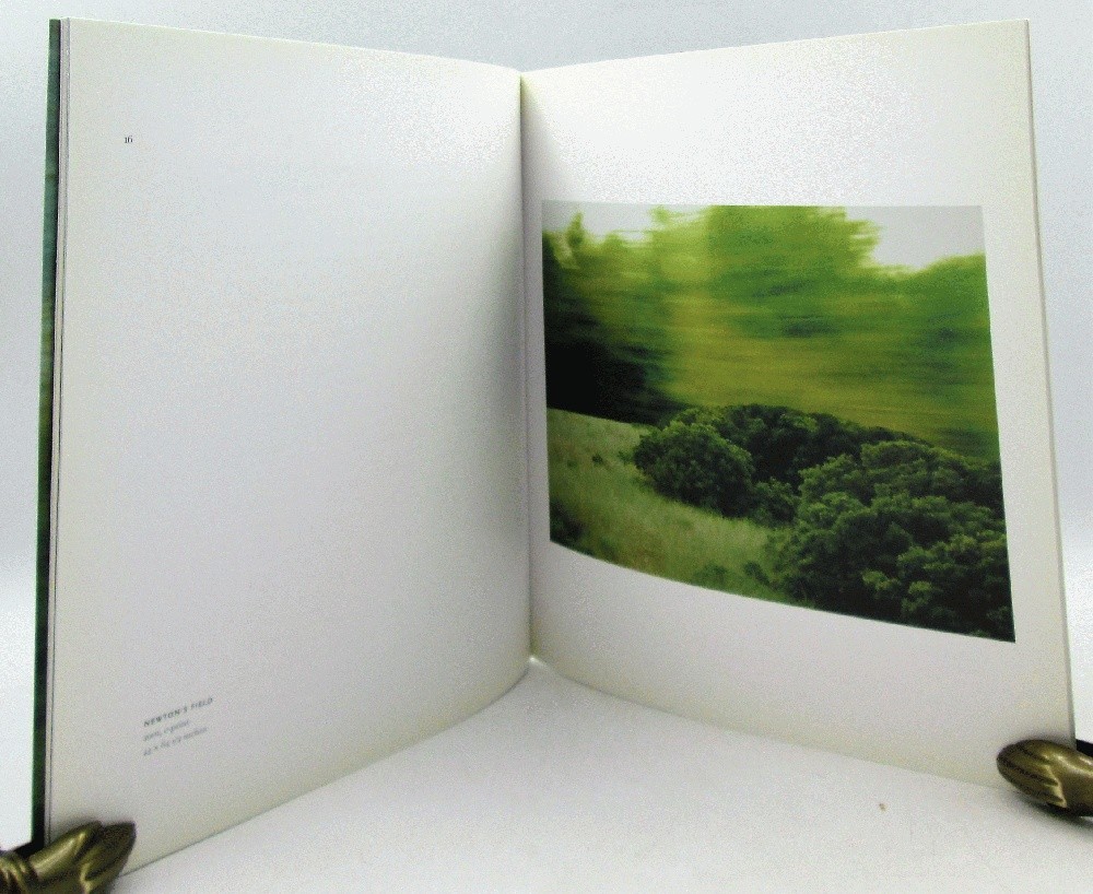 Eileen Neff: Movingstill : November 16-December 22, 2001