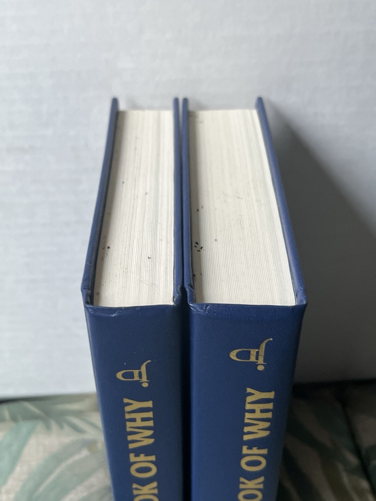 Used book boxed set of The Jewish Book of Why and the 2nd Jewish Book of Why