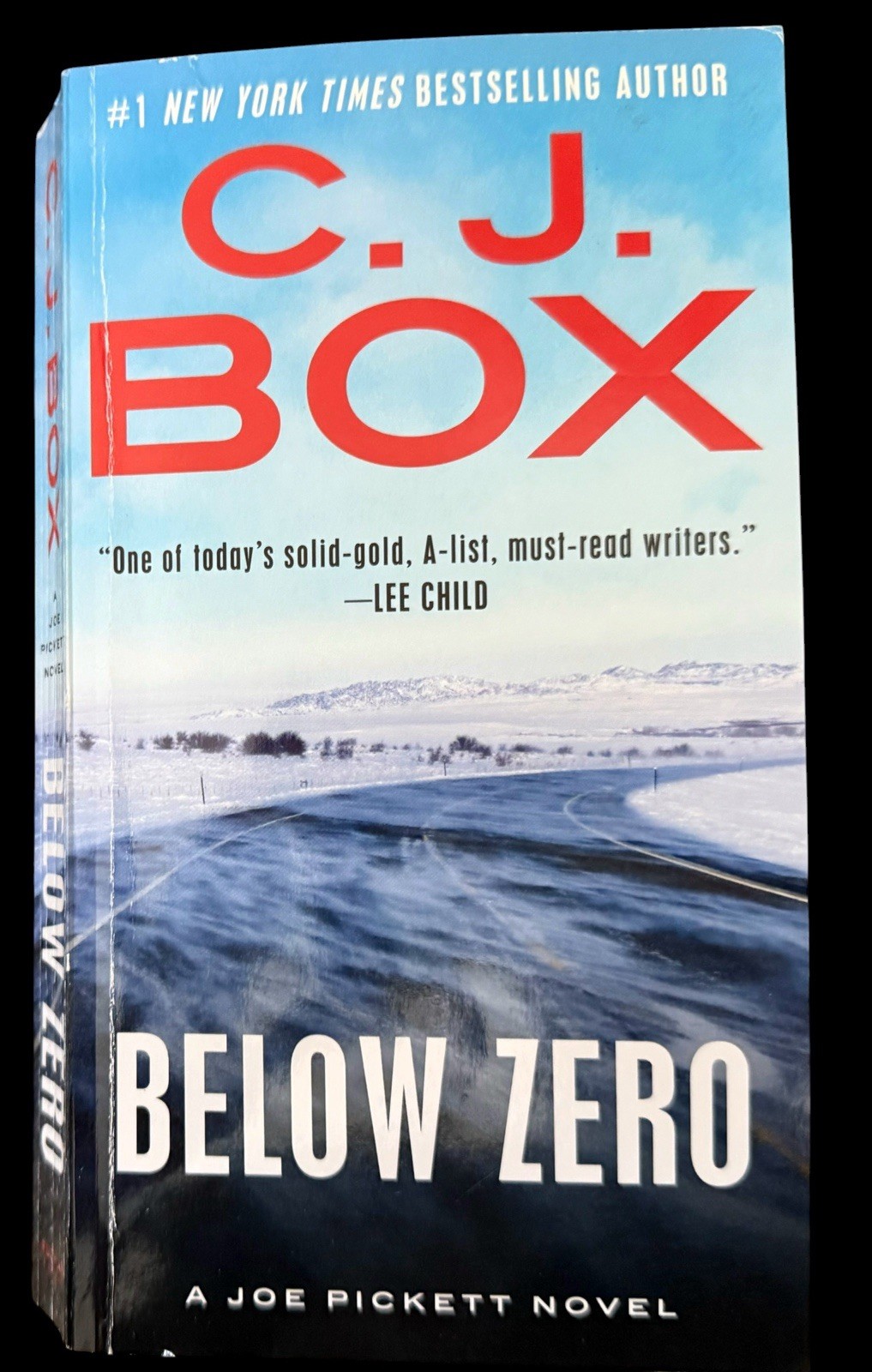 10 PB Bundle: Ten Joe Pickett Novels by C. J. Box 2003-2019 Putnam