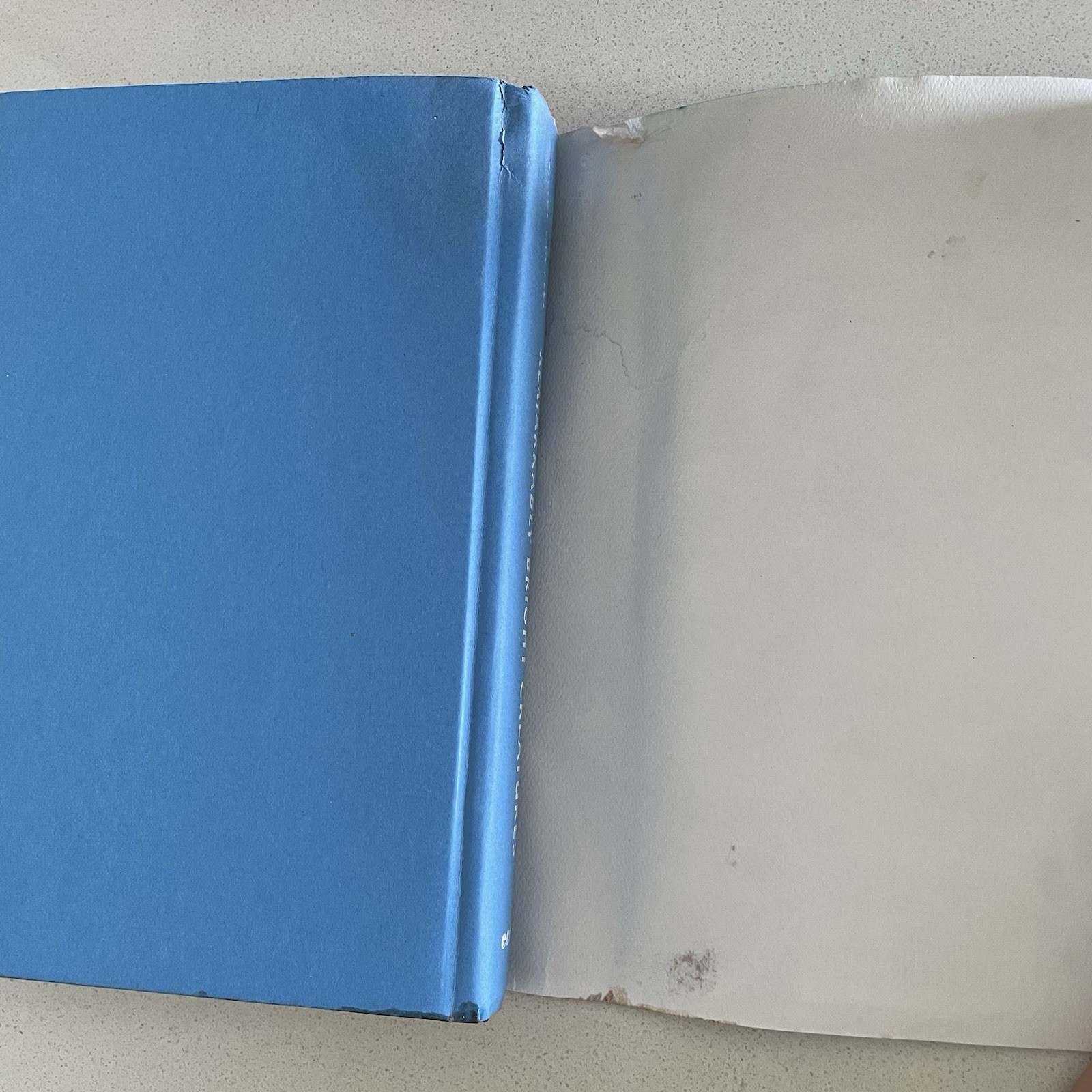Remarkably Bright Creatures: A Novel By Shelby Van Pelt – Hardcover