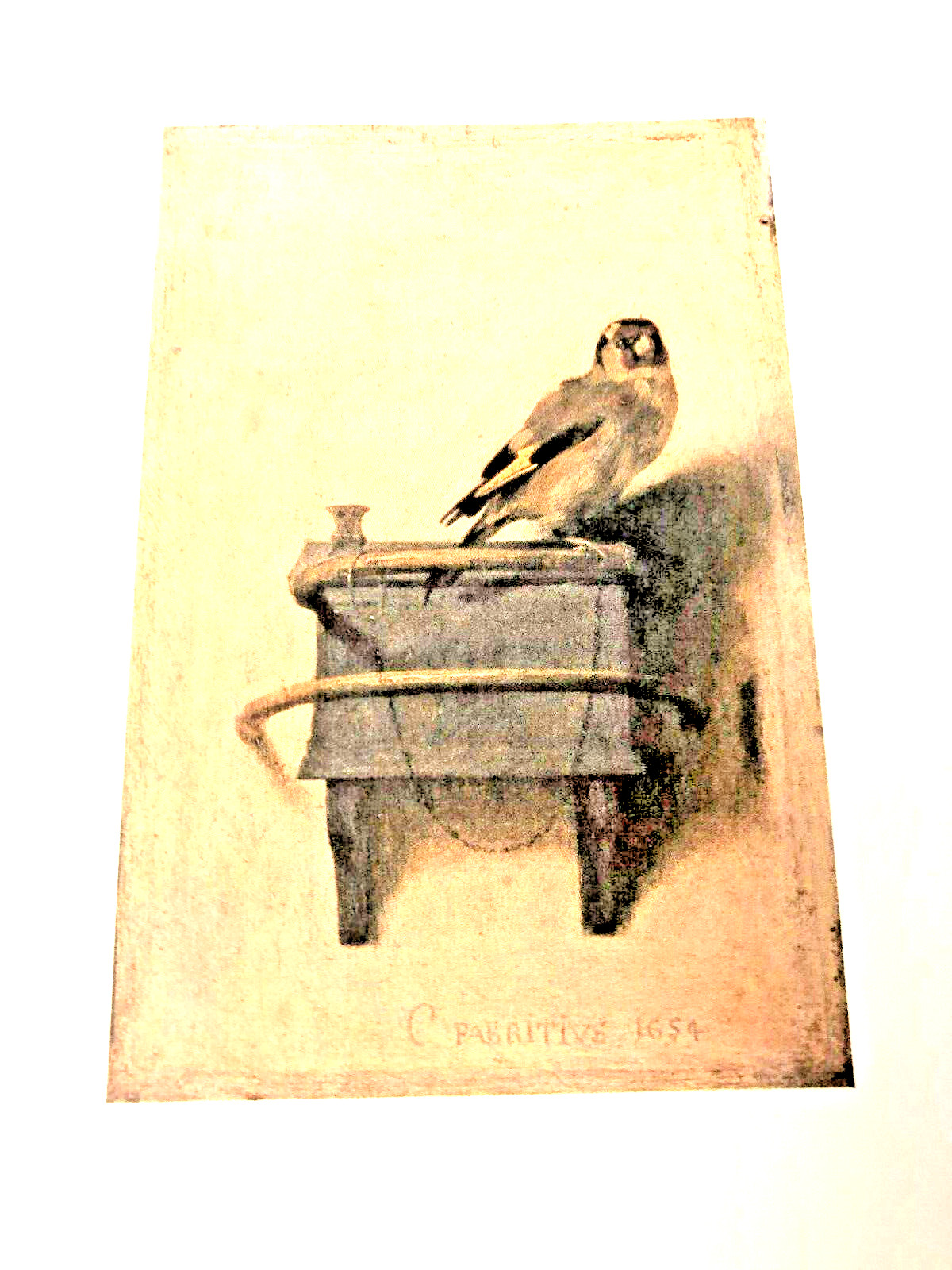 RARE 1ST PRINT! The Goldfinch: A Novel Pulitzer Prize by Donna Tartt (2013) FINE