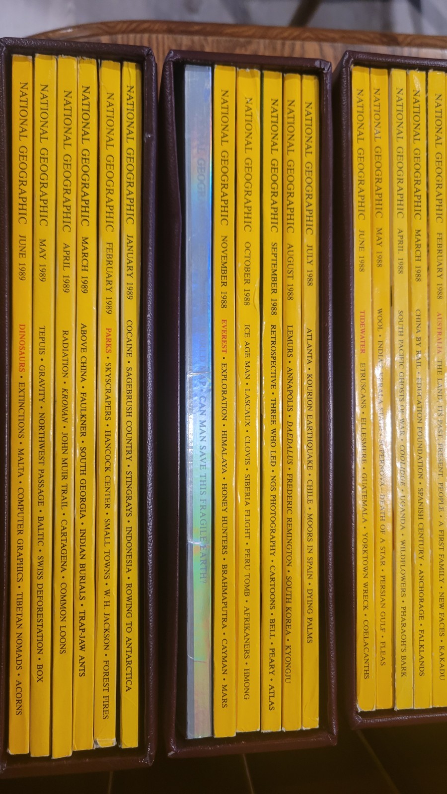 Complete 31-Yr National Geographic Collection 1978-2008 – 373 Issues – Sleeved