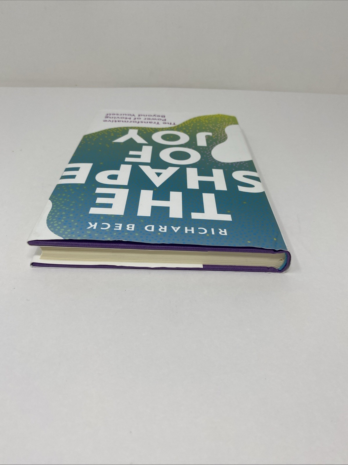 Shape of Joy Richard Beck Hardcover 2024 Spiritual Growth Broadleaf