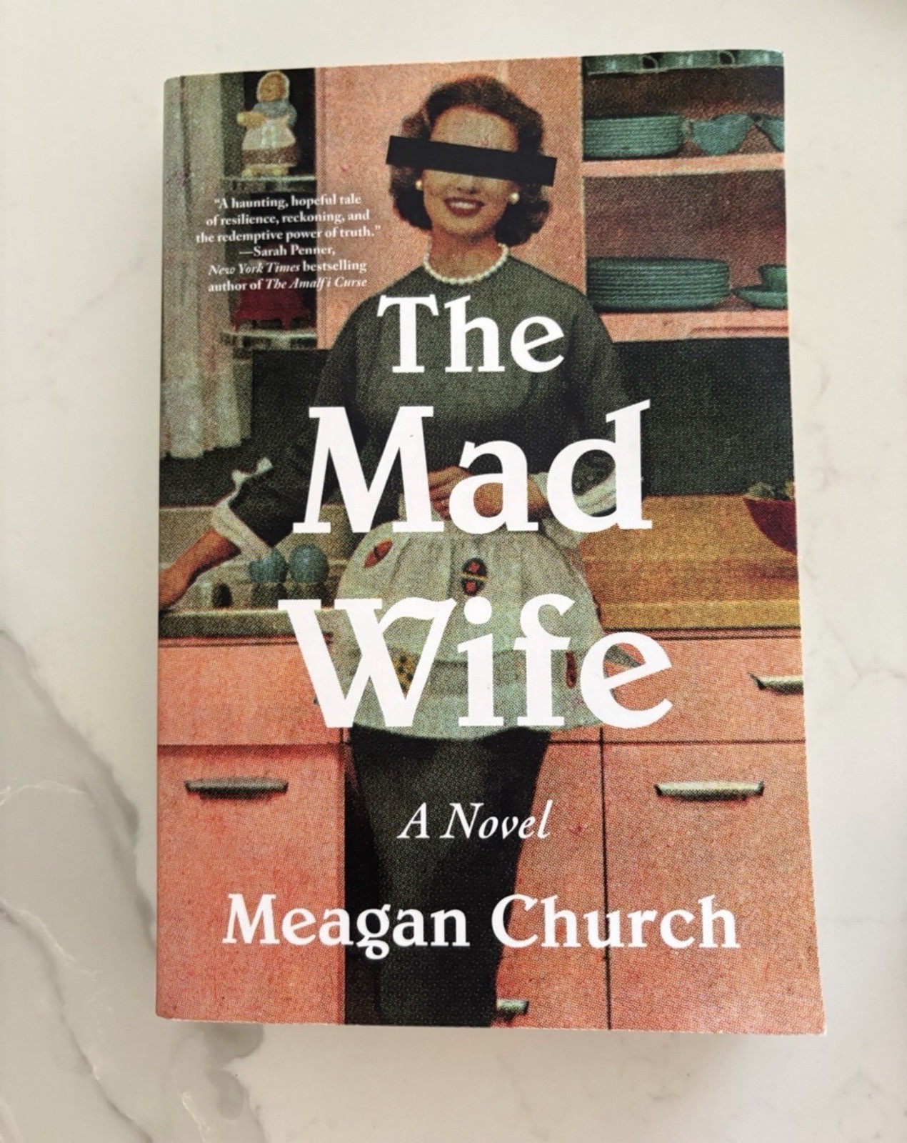 Meagan Church The Mad Wife: A Novel (2025) Trade Paperback – Fiction Thriller
