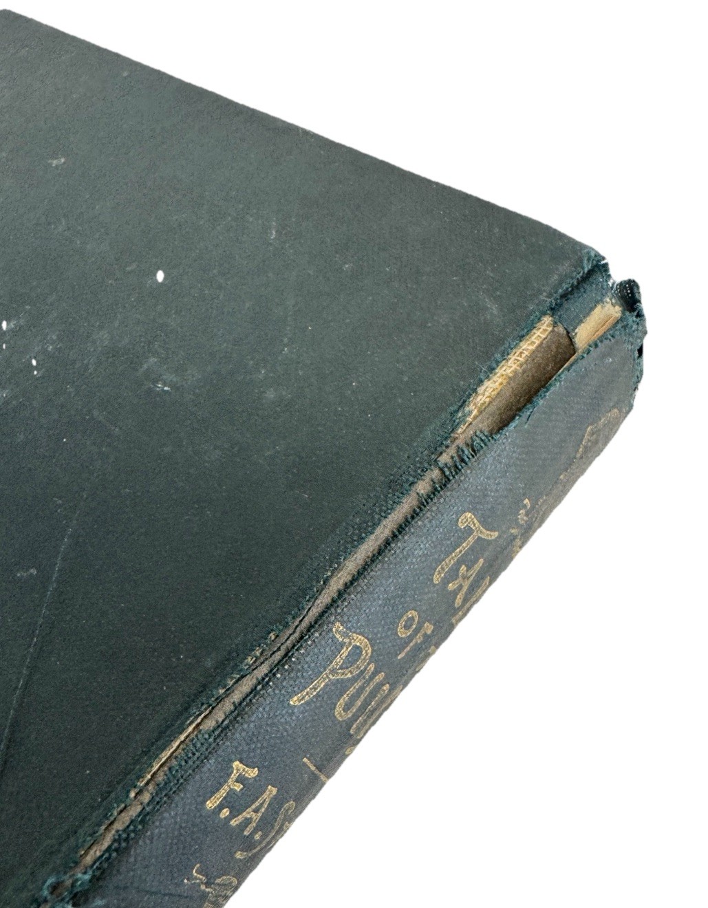 Tales of the Punjab Told by the People – Flora Annie Steel (1894)