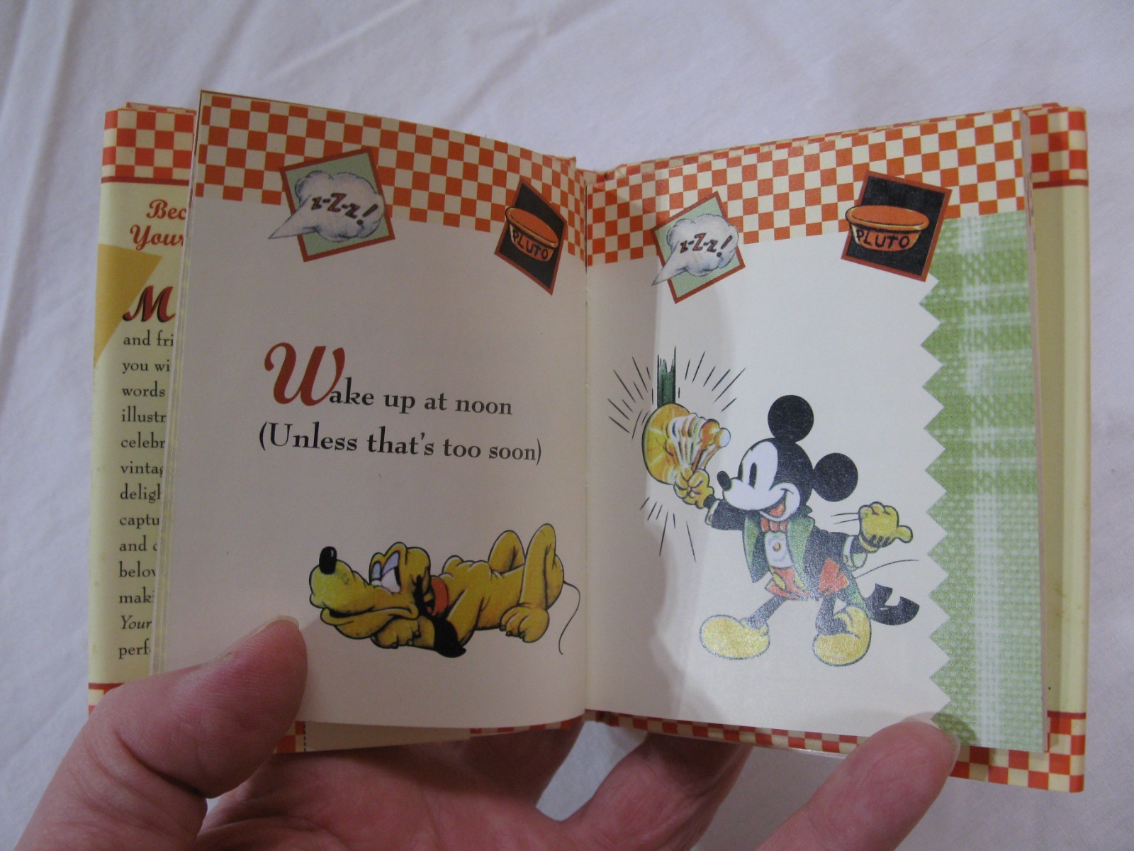 Mickey Minnie Because It’s Your Birthday Book HCDJ 2006 HTF 48 Pages