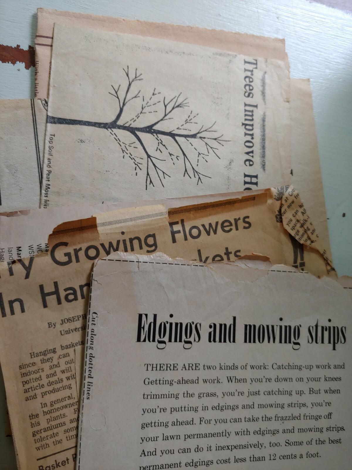 1954 Better Homes and Gardens GARDEN BOOK Meredith Publishing 480 Pages HB