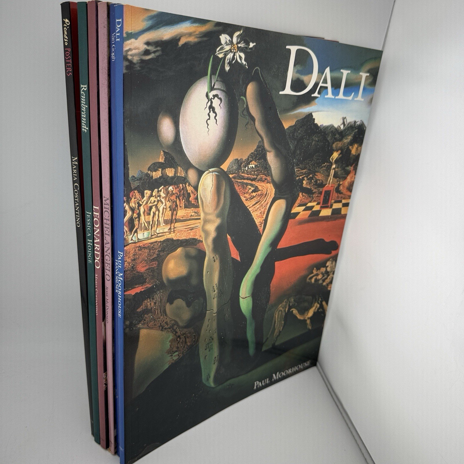 Coffee Table Artist Books PB 6ea Picasso Rembrandt Van Gogh Dali Leonardo Michae