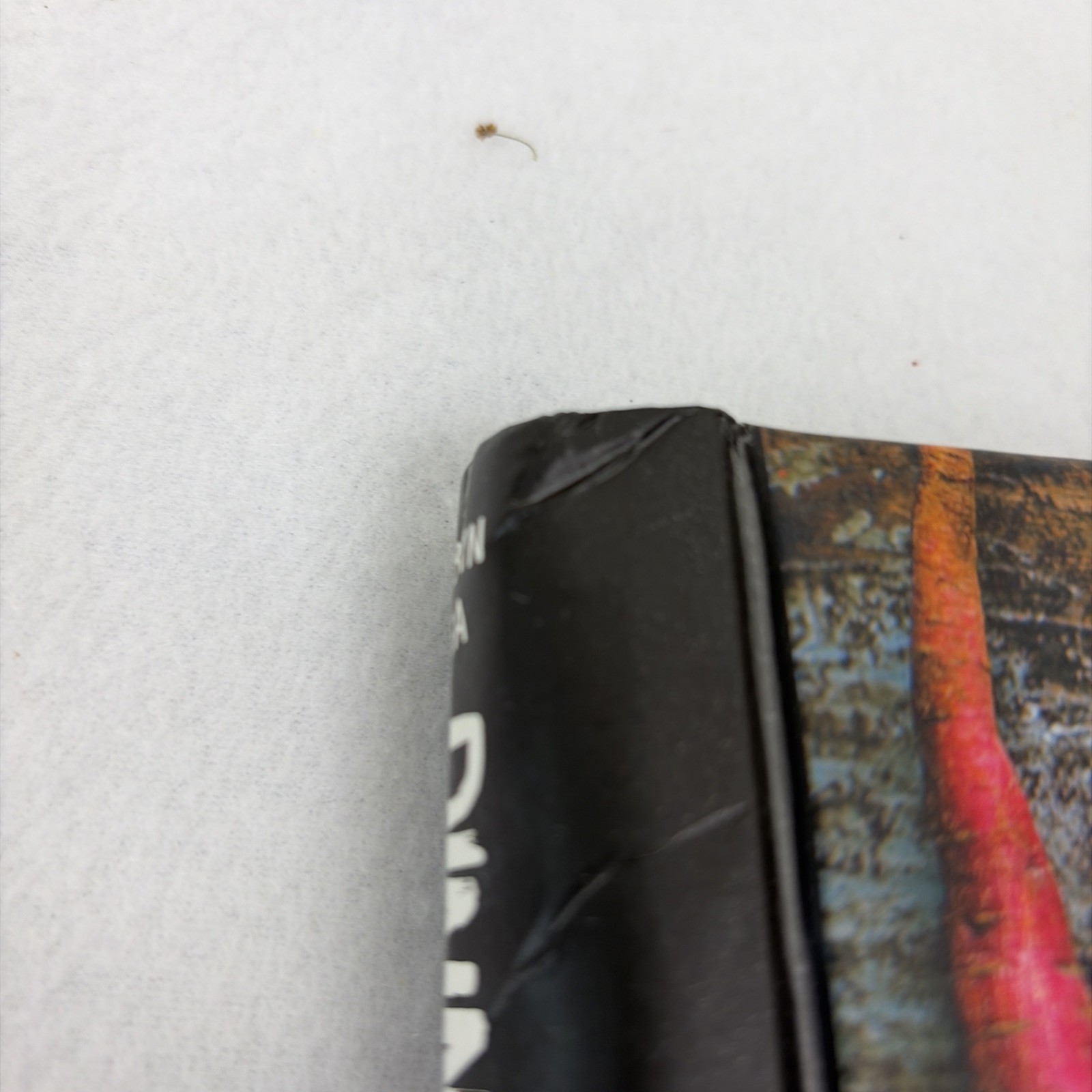 Dinner With Jackson Pollock: Recipes, Art & Nature by Lea, Robyn (2015) Spiral