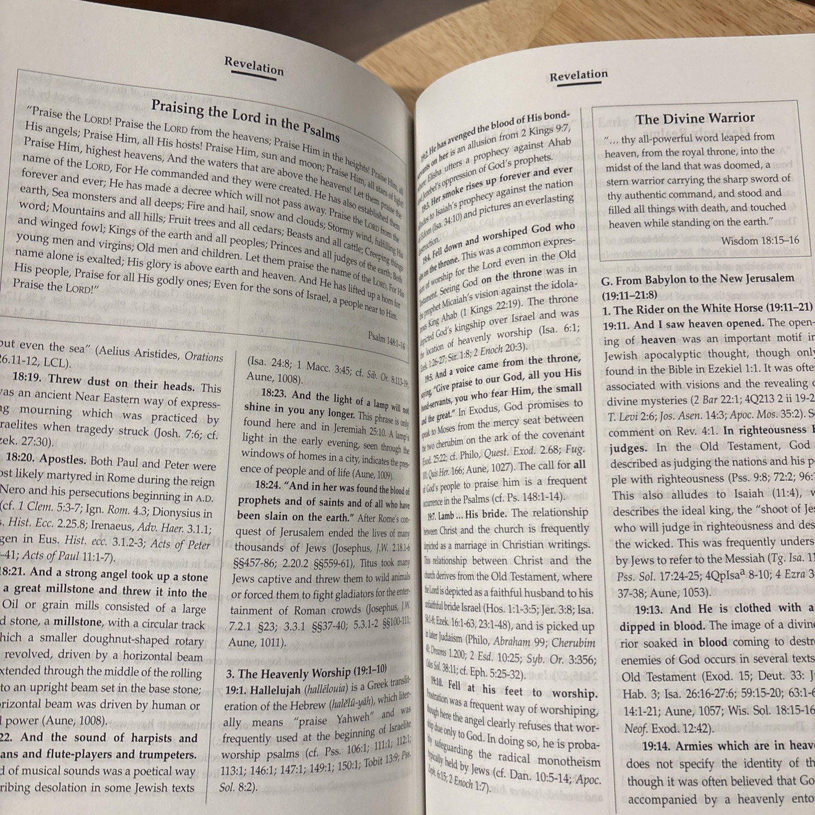 The Bible Knowledge Background Commentary John, Hebrews-Rev By Craig A. Evans HB