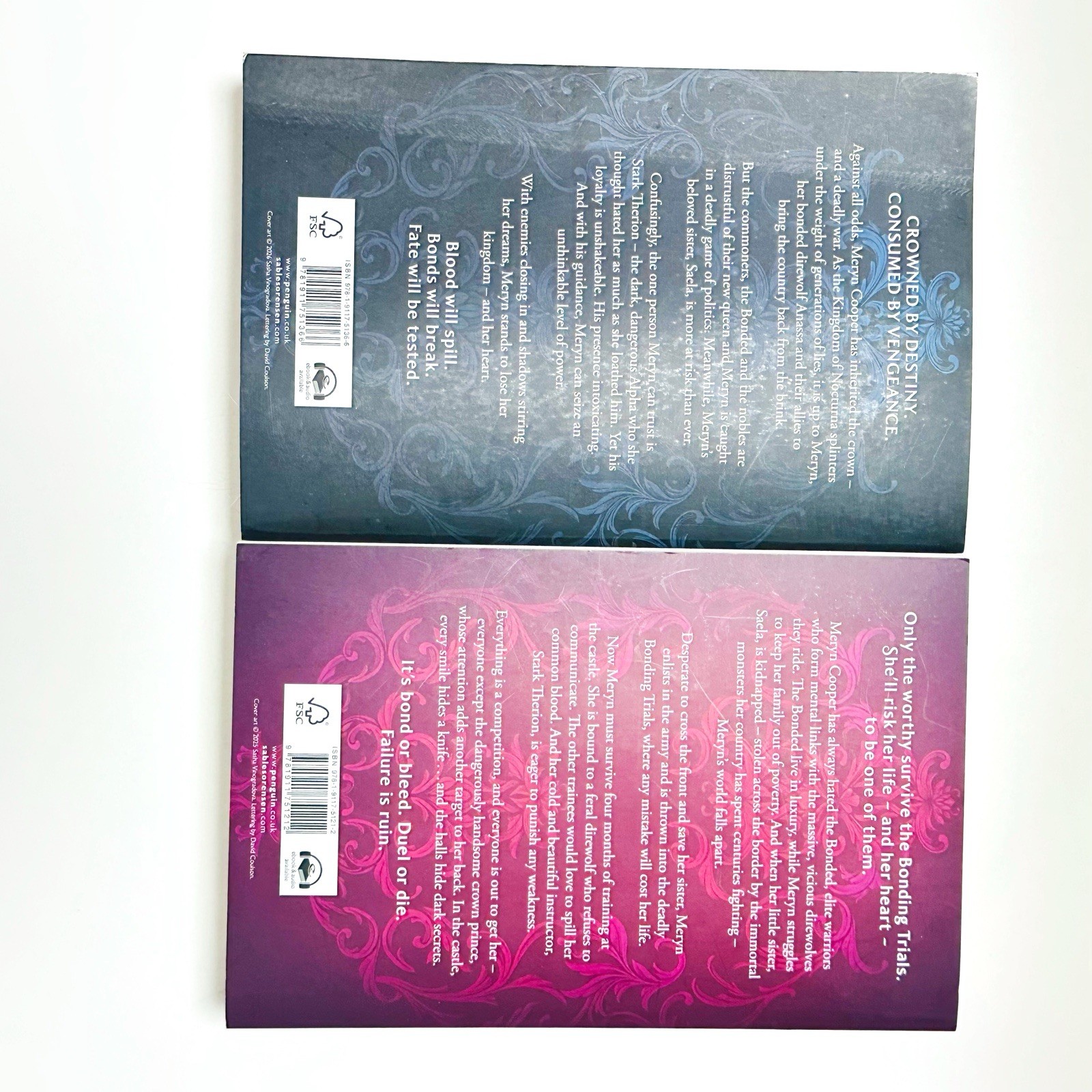Fury Bound Dire Bound Sable Sorensen Wolves of Ruin 2 Book Fantasy Bundle