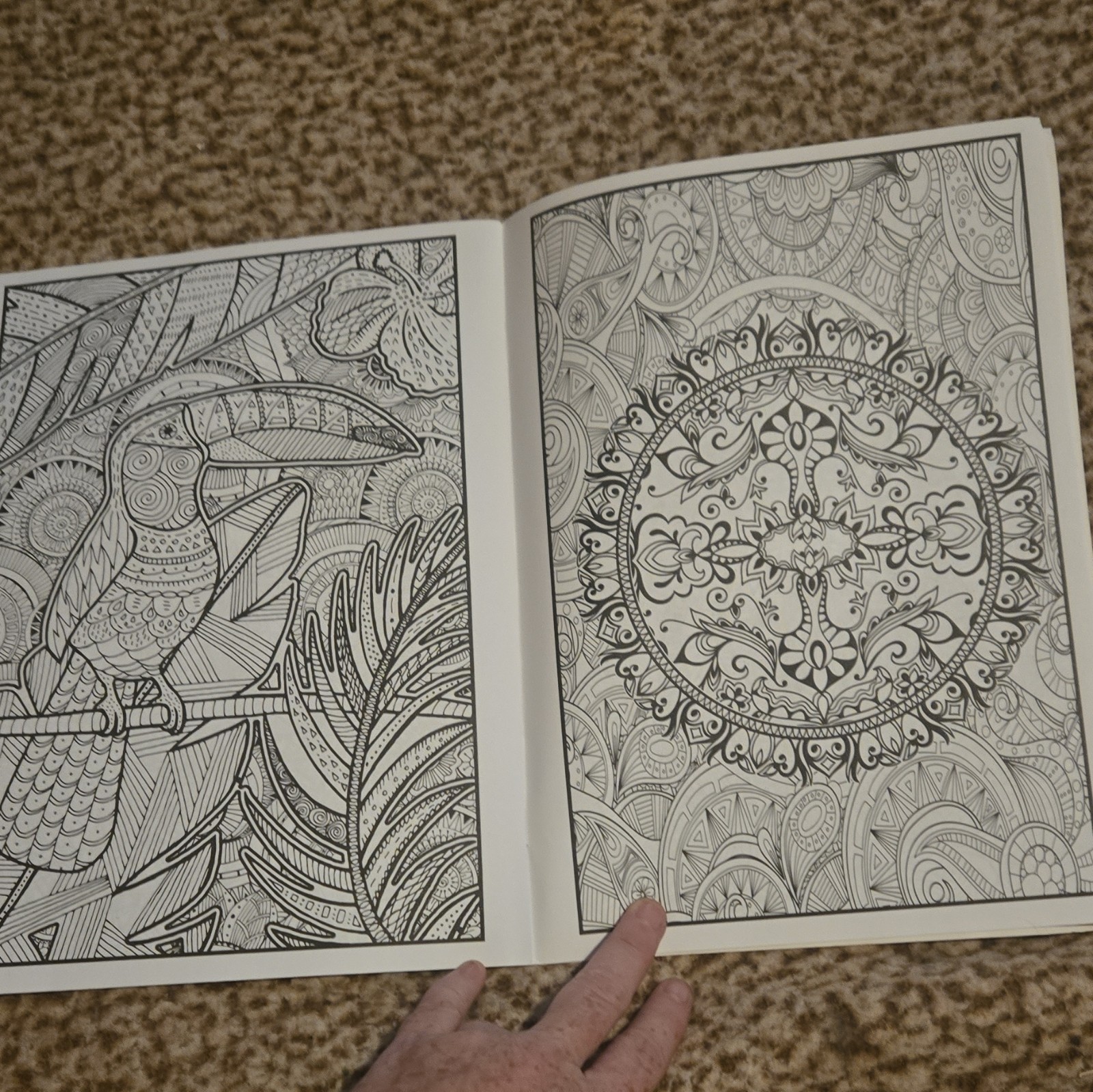 Mandalas Adult Coloring Book Paperback Illustrated Adults English