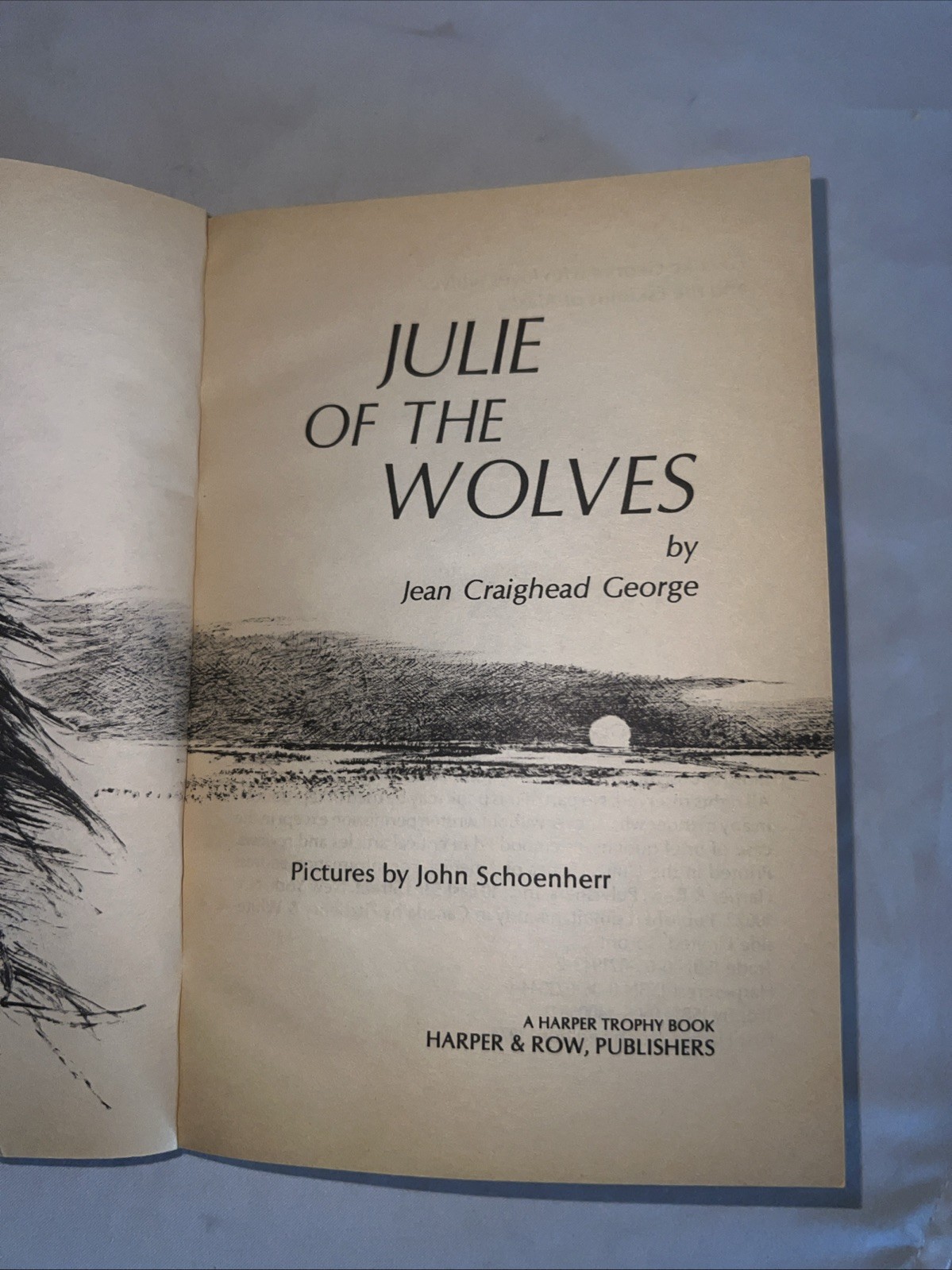 Julie Of The Wolves – George, Jean Craighead – Good – See condition notes