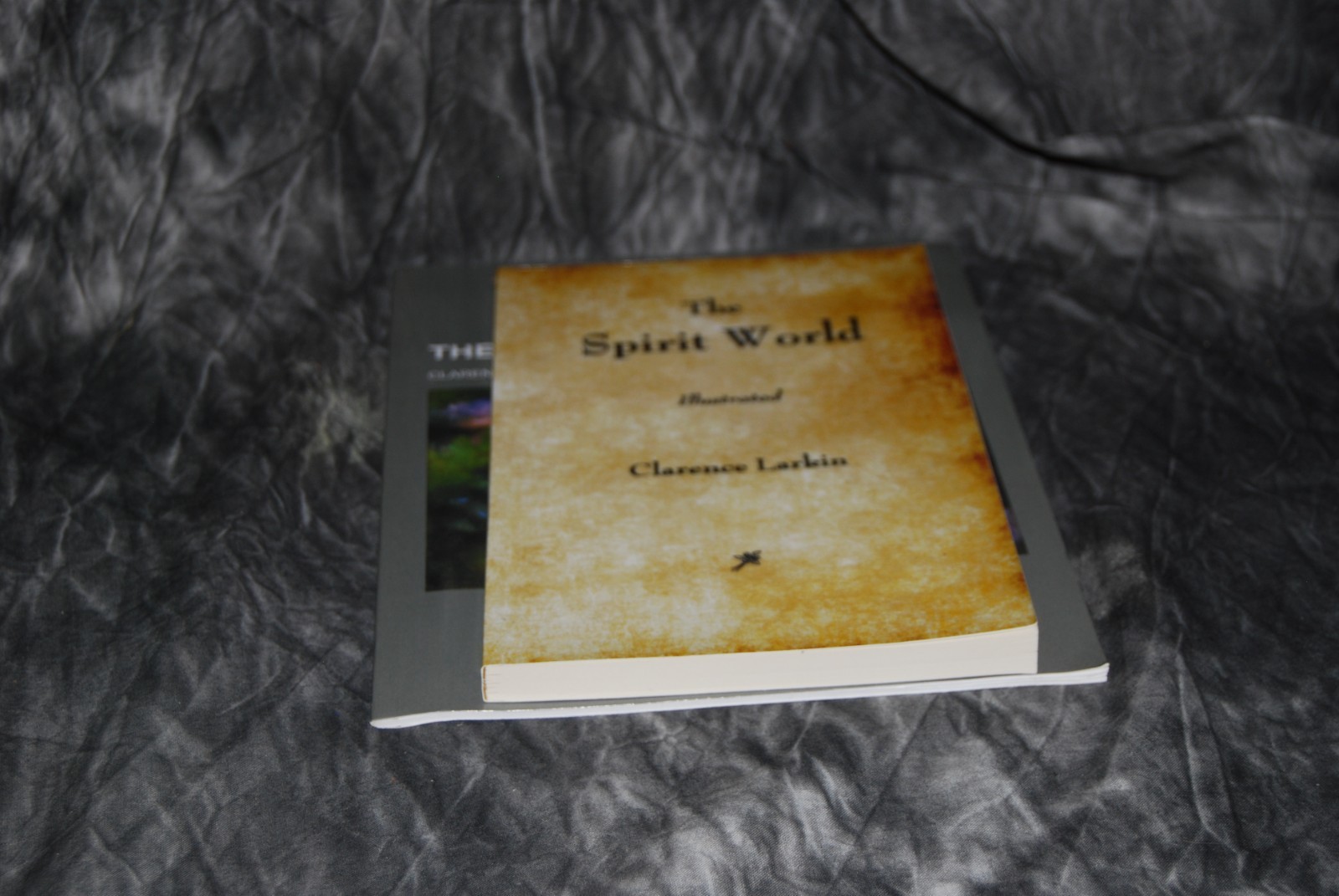 Lot of 2 Clarence Larkin The Spirit World (Paperback) Books Illustrated