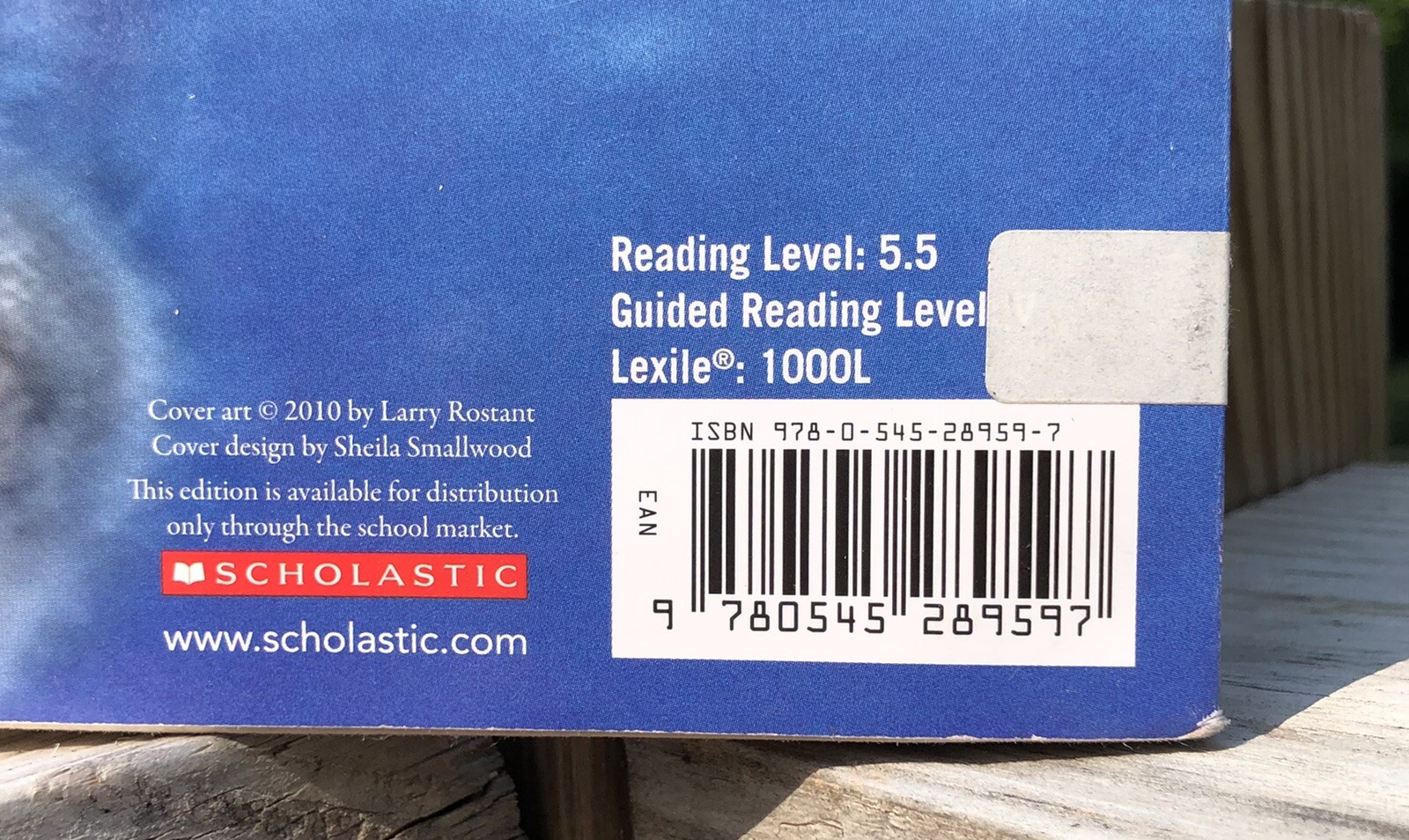 Island of the Blue Dolphins Paperback