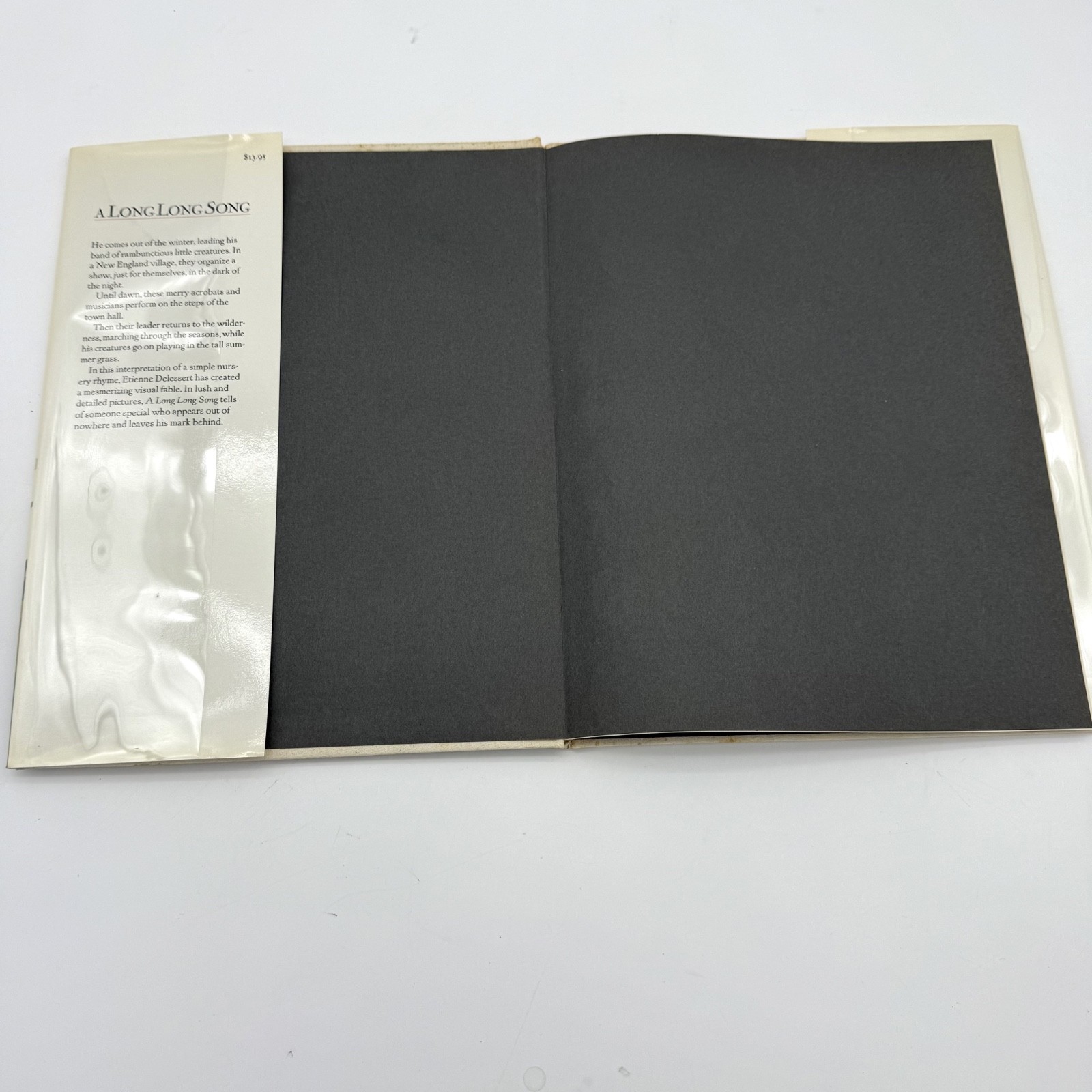 A LONG LONG SONG By Etienne Delessert – 1st ED Hardcover Near fine / very good +