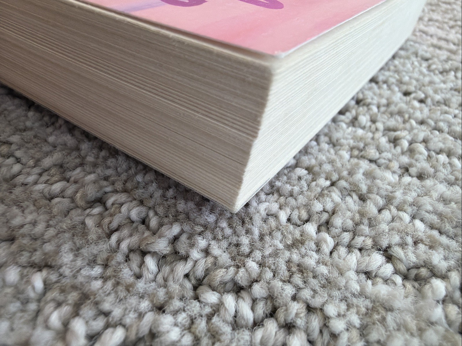 Meet Me at the Lake by Carley Fortune Trade Paperback Exclusive Edition Penguin