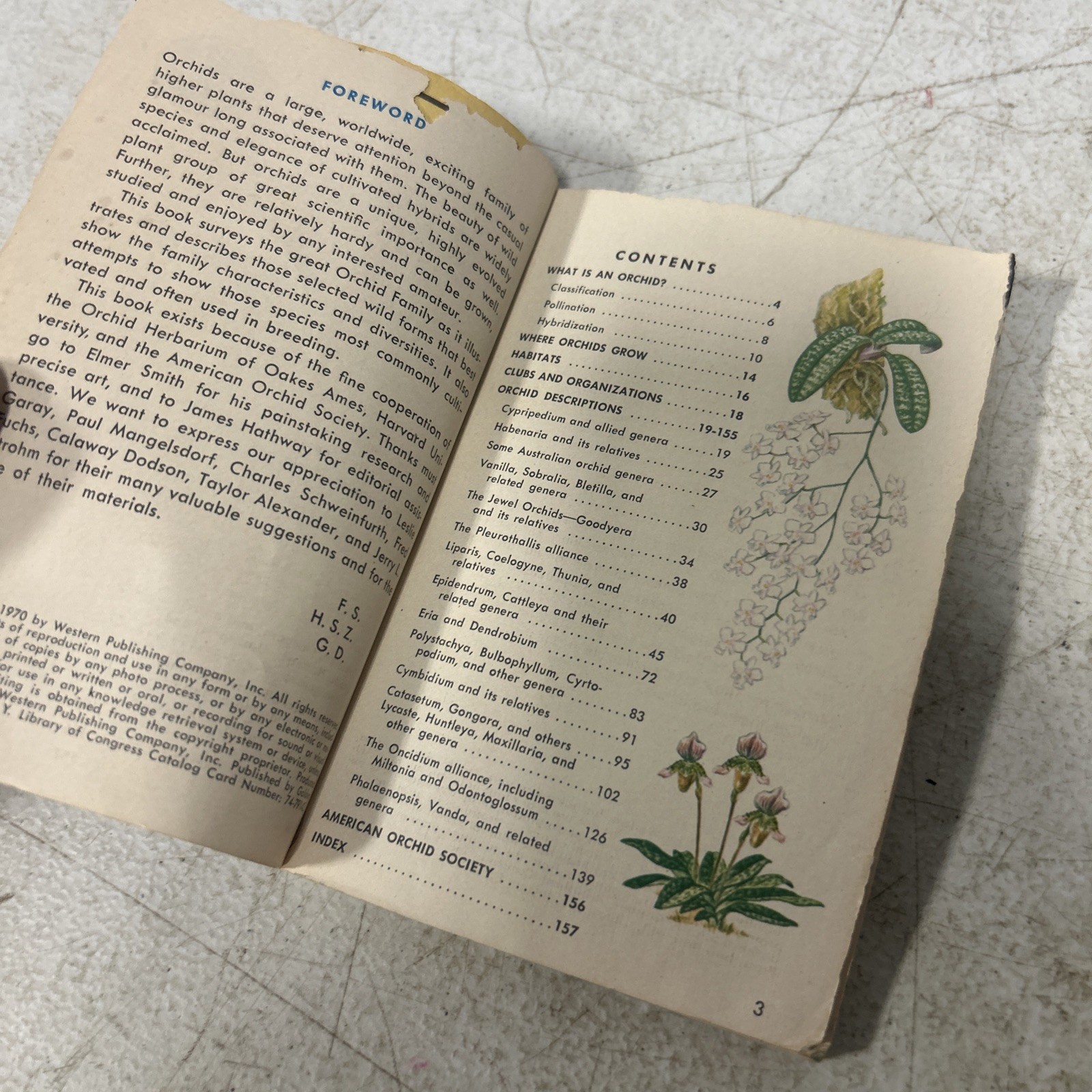 A Golden Nature Guide Lot Of 2 Books Flowers And Orchids