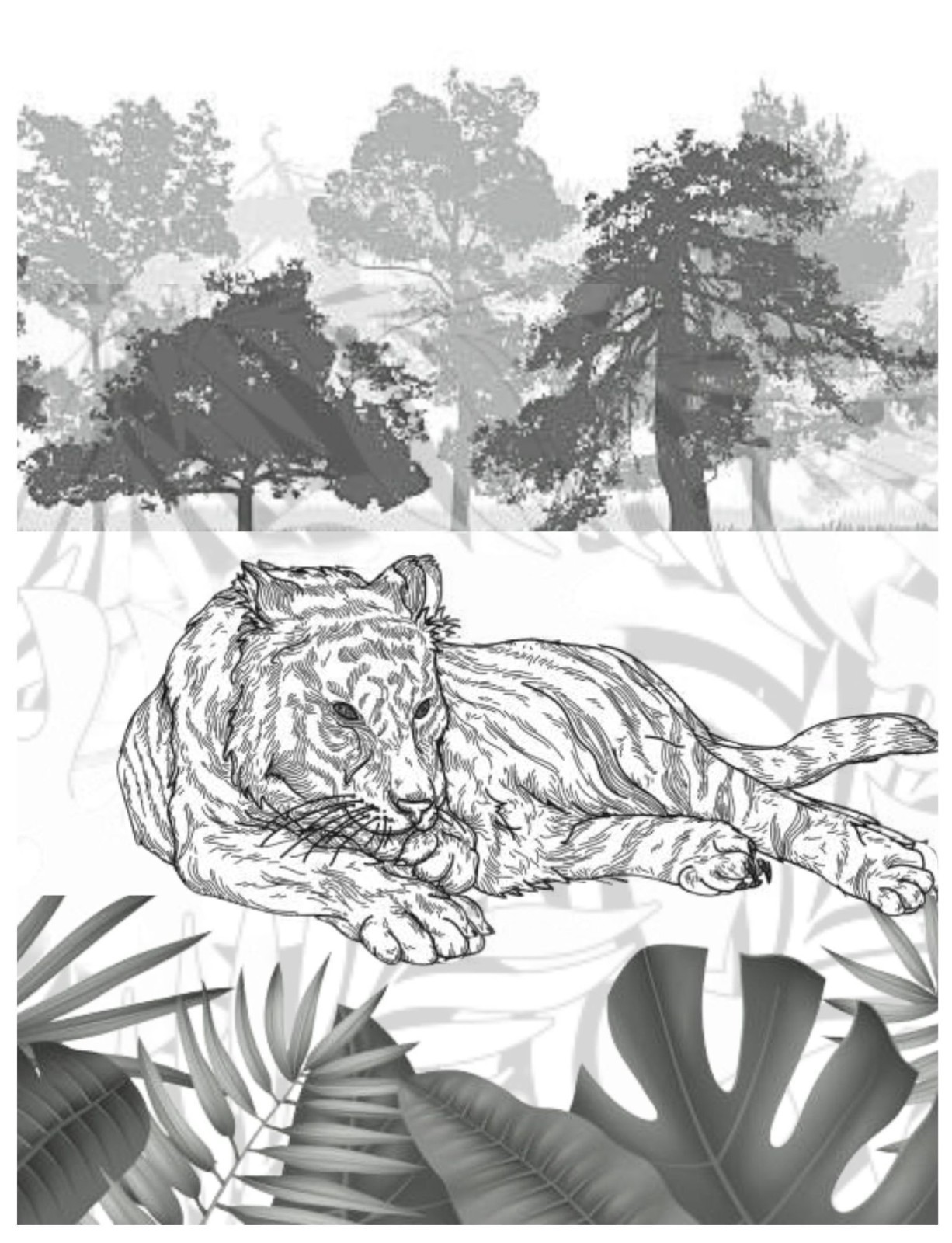 Coloring Book save the Tigers 108 Pages 8.5 x 11 for All Ages Best Tigers book
