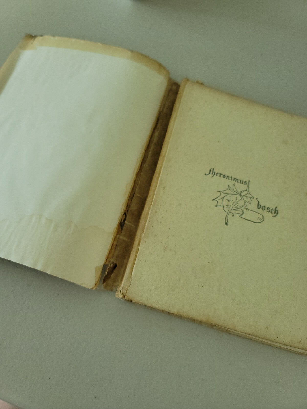 Hieronymus Bosch jheronimus Jean Leymarie 1949 art book warendorf antique