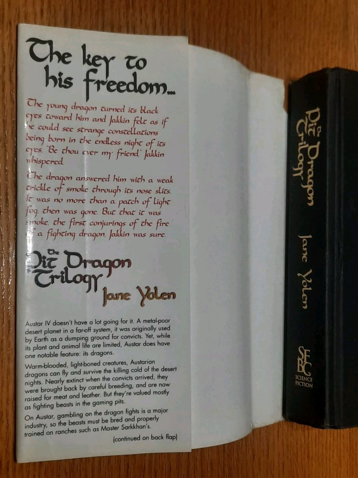 Pit Dragon Trilogy Three Volumes in One by Jane Yolen Bob Eggleton Jacket BCE