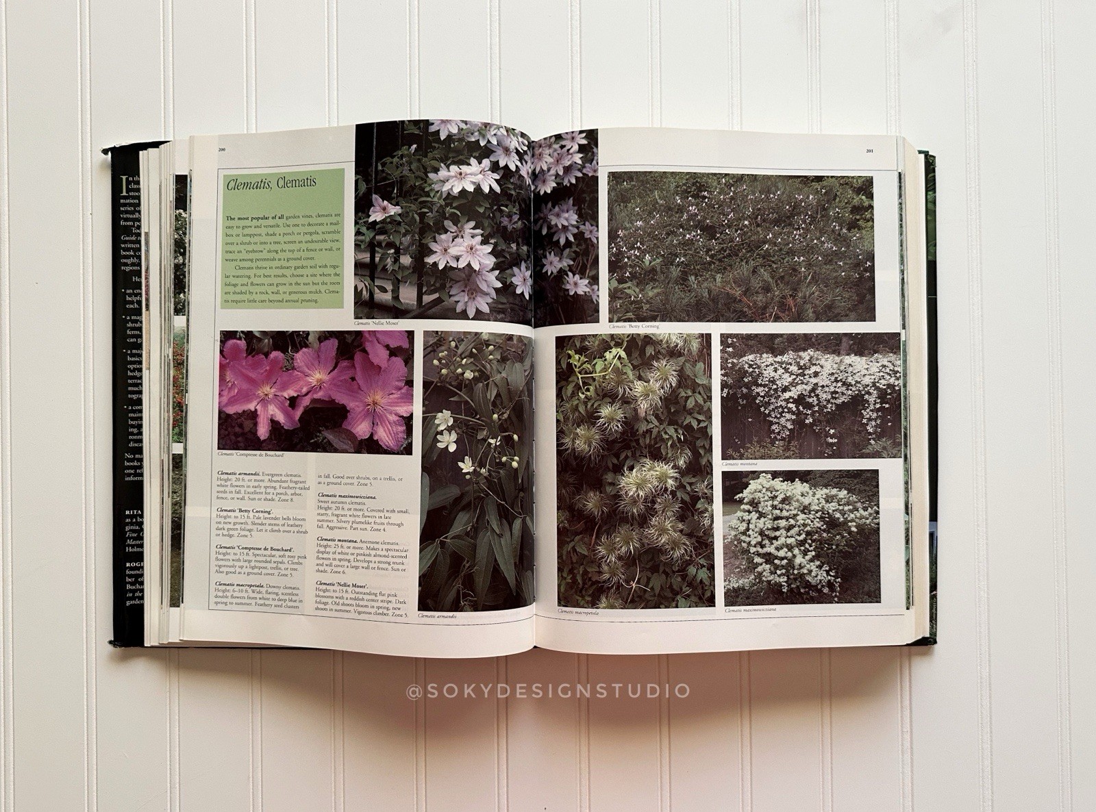 Taylor’s Guides Master Guide Gardening Hardcover Houghton Mifflin 1994 Illustra…