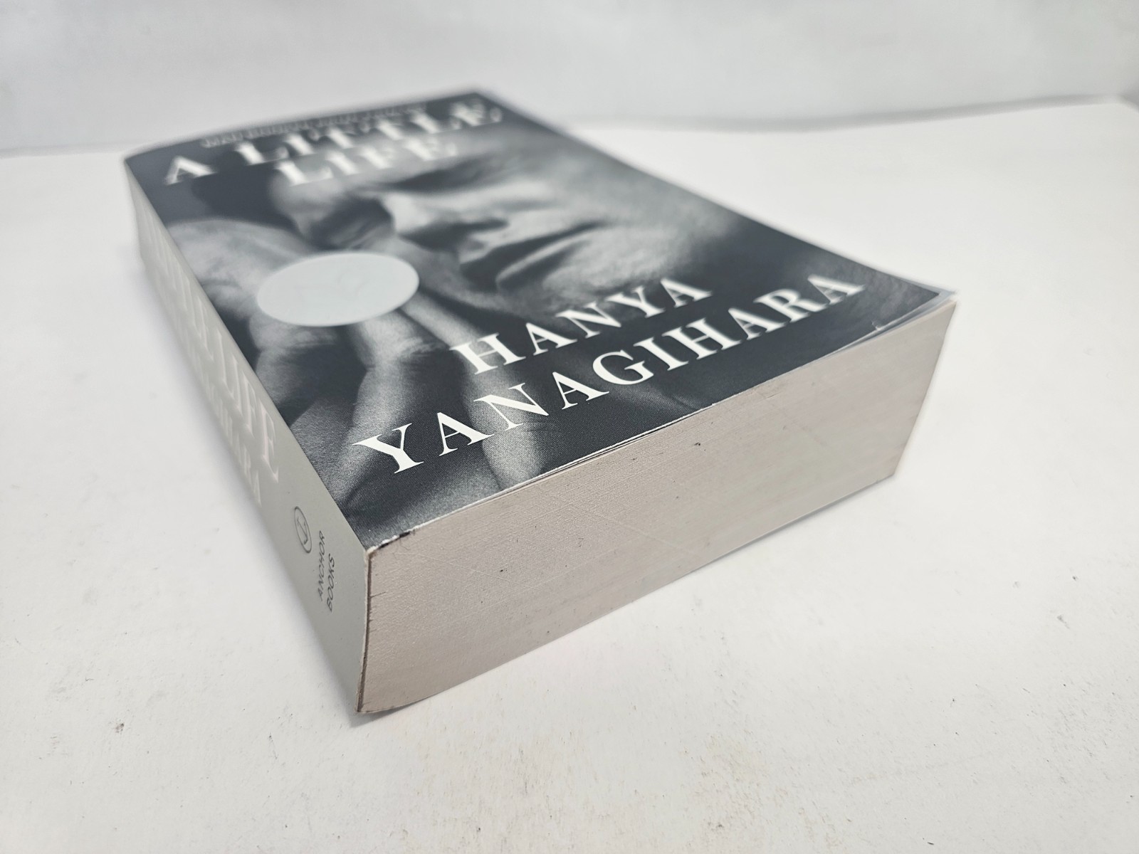 A Little Life Hanya Yanagihara Trade Paperback Novel 2016 Anchor Books Fiction