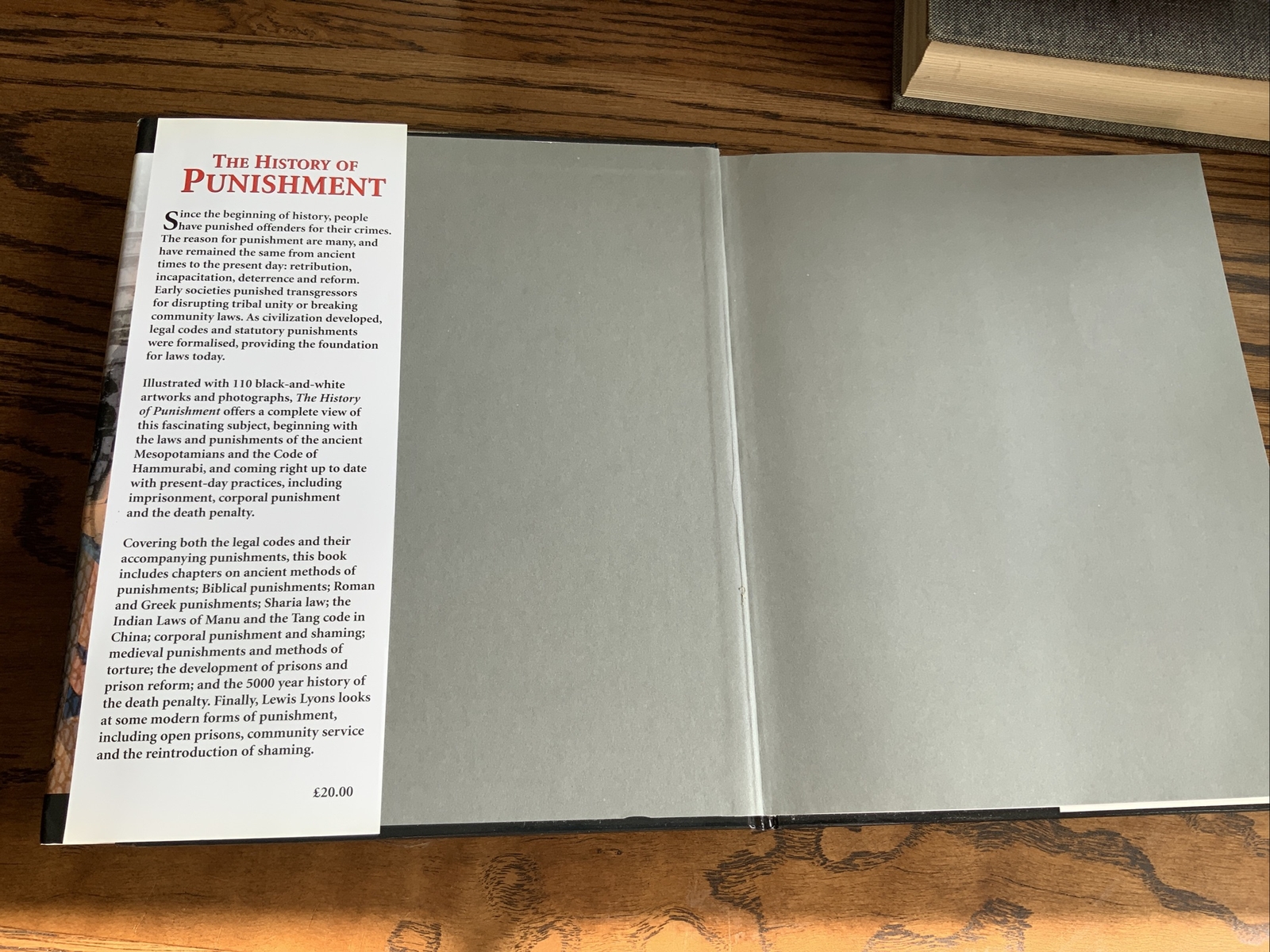 History of Punishment by Lewis Lyons, 2003, Amber Books Ltd, Like New