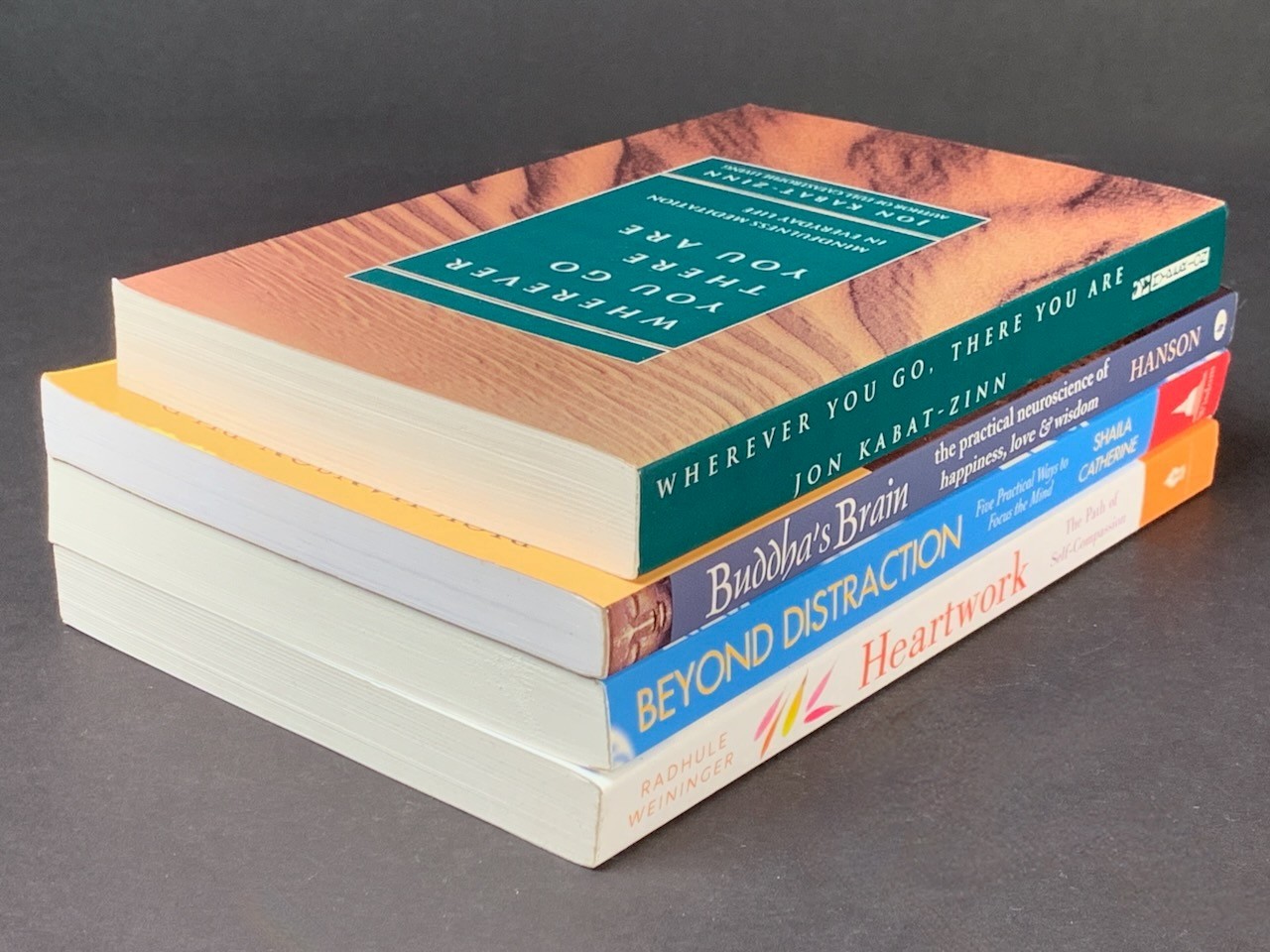 Mindfulness Meditation – Lot of 4 – Jon Kabat-Zinn, „Buddha‘ Brain“ – Softcover