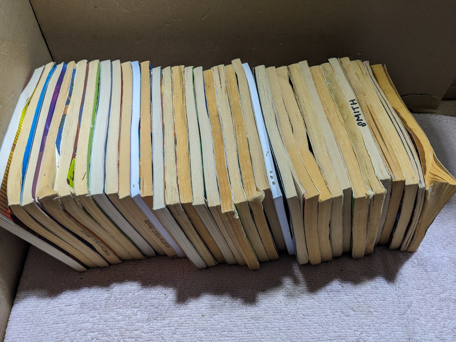 Lot Of (33) Various R.L. Stine Goosebumps Books